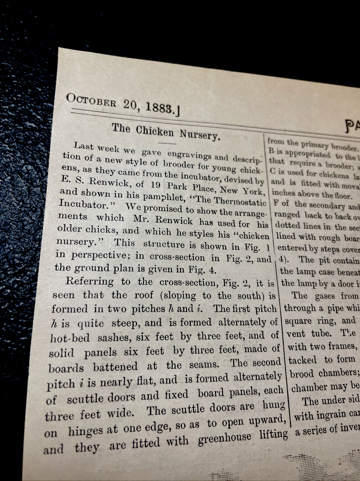 1883 Renwick’s Chicken Nursery Farm Advertising Engraving & Article – 10×15