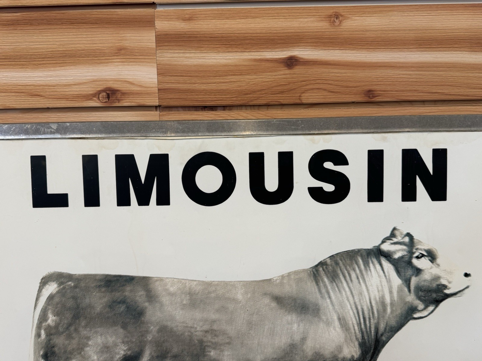 Vintage Limousin Cattle “The Opportunity Breed” Advertising Sign