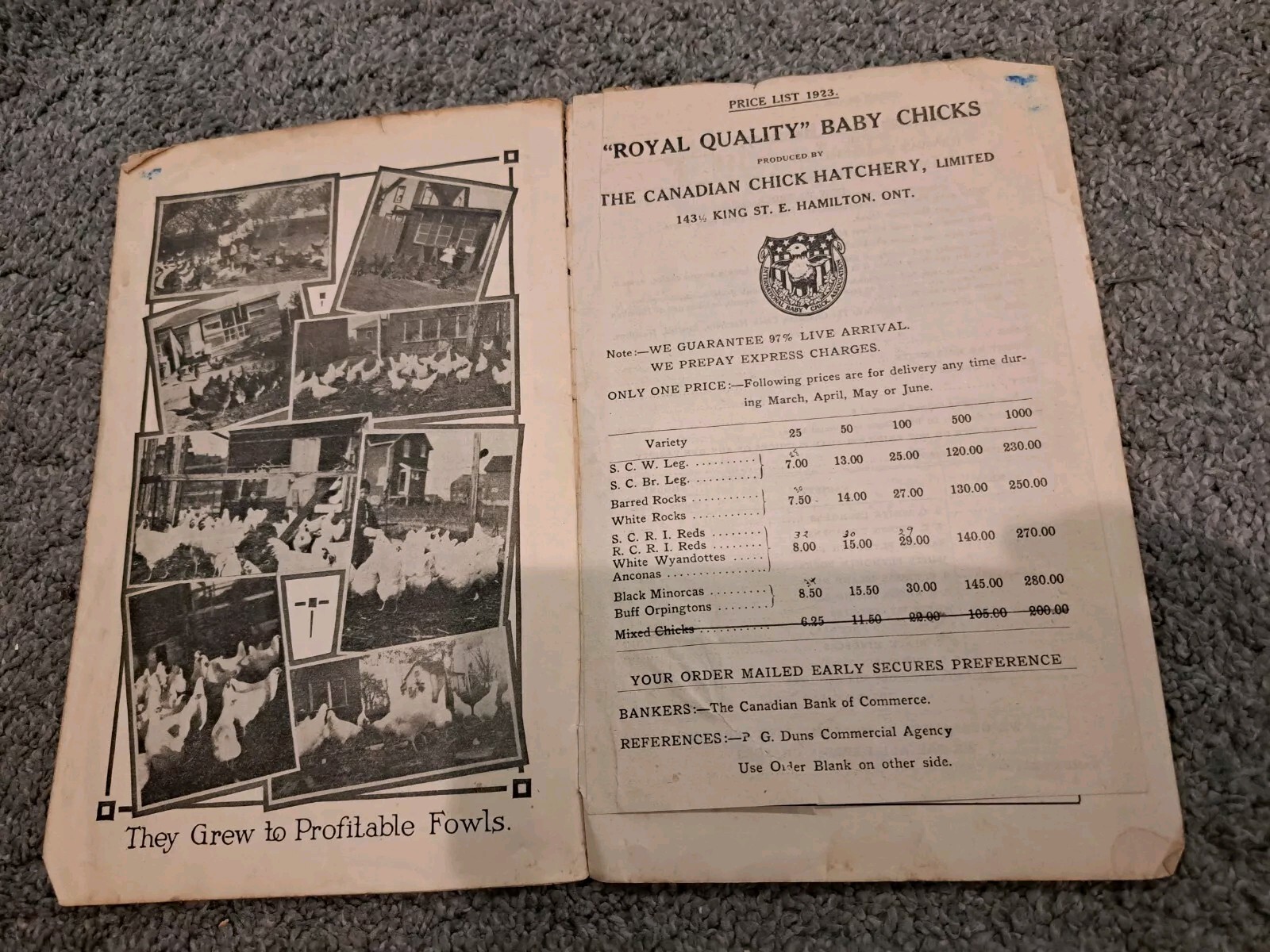The Profit Maker Vintage 1923 Canadian Chick Hatchery Booklet Poultry