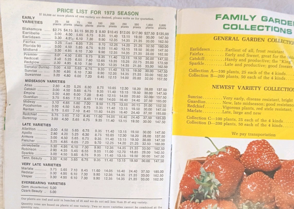Rare Catalog Ephemera 1973 W.F. Allen Co. Book Of Berries. Anniversary Edition.