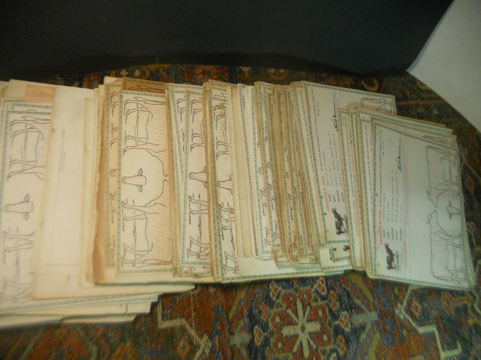 450+ CATTLE CLUB Vintage American GUERNSEY CERTIFICATES BOOKS Newport News VA