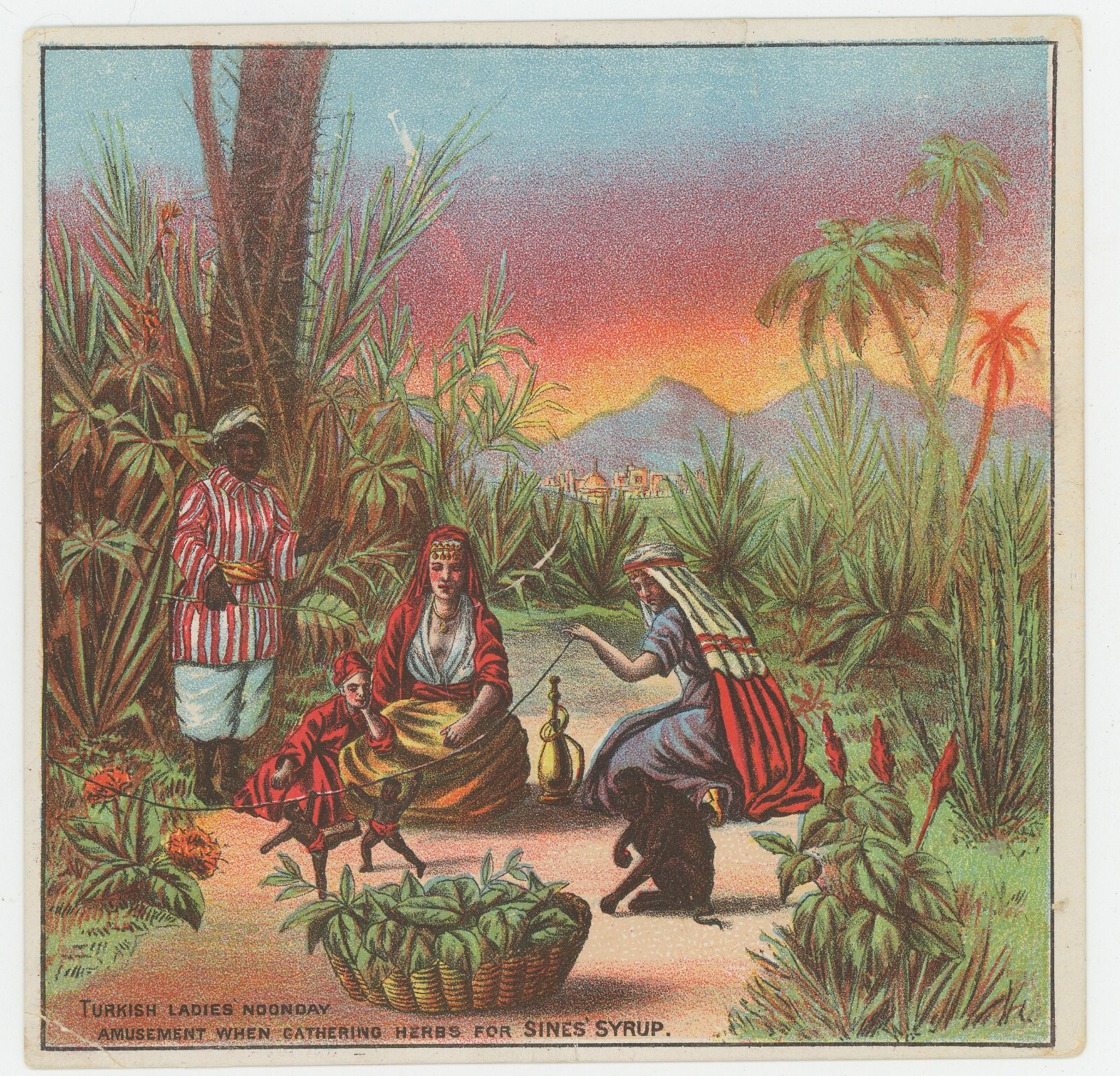 Sine Syrup Turkish Women Tropics Gathering Herbs Black Puppet 1880&rsquo;s Trade Card