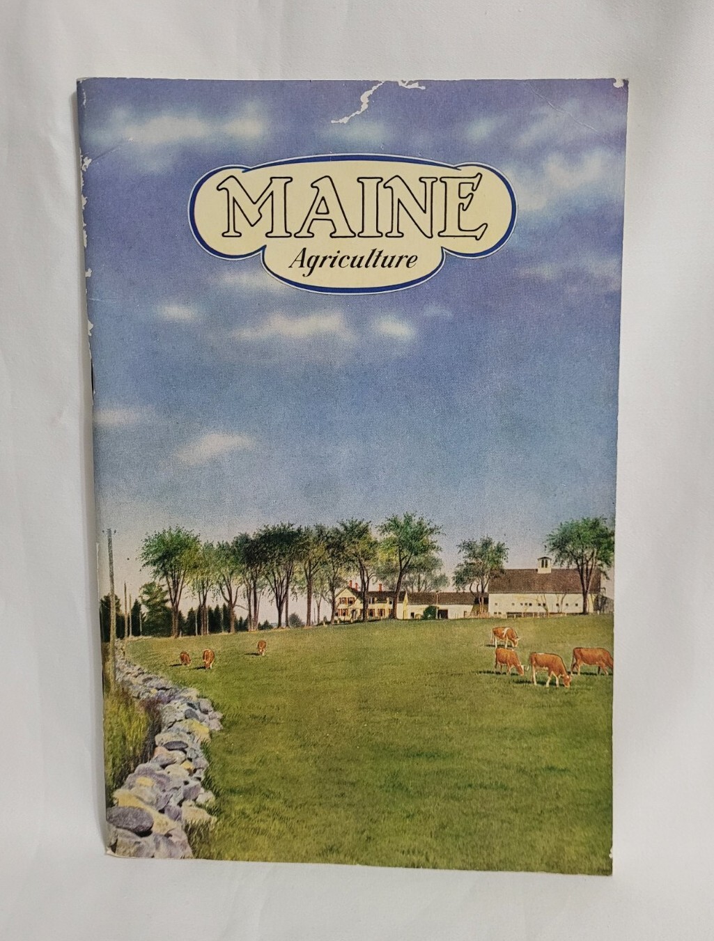 Vintage Maine Agriculture Booklet Cattle Corn Fruit Chickens Farming Ephemera