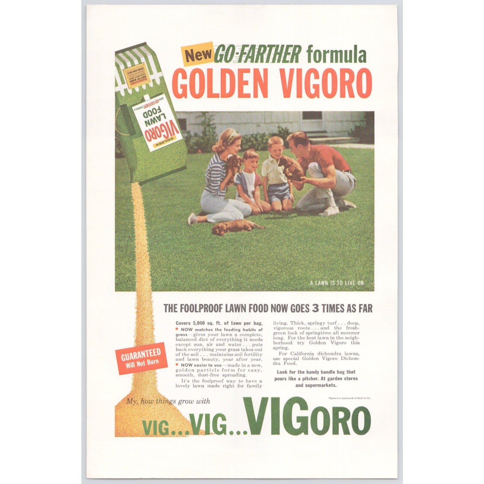 1960 Vigoro Lawn Food Vtg Print Ad Go Farther Formula Family Puppies Boys