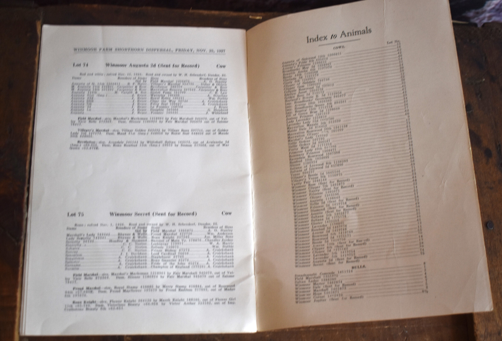 Vintage 1927 Shorthorn Cattle Auction Catalog Advertising Winmoor Farm Dundee IL