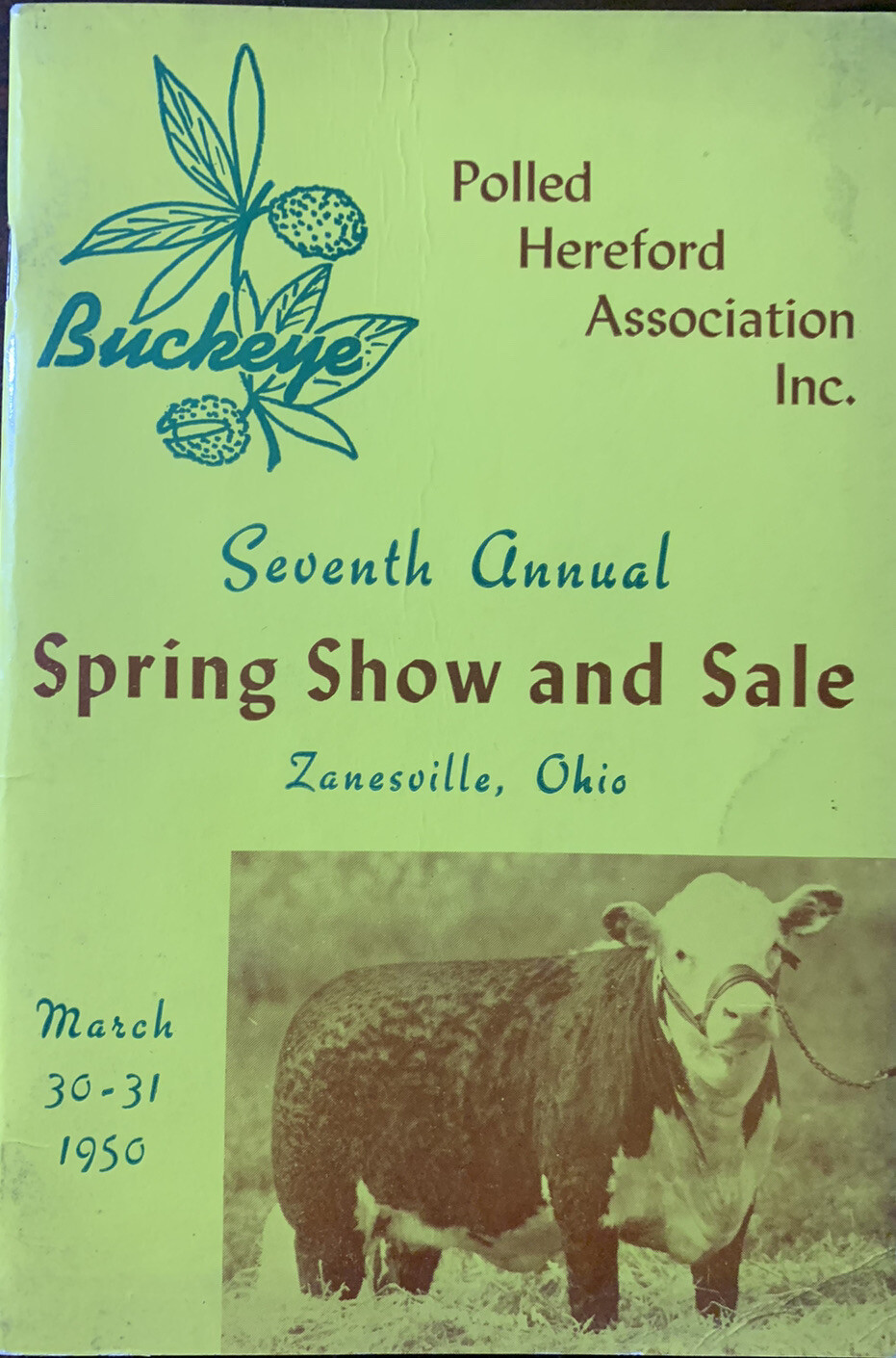 Zanesville Ohio Vintage Buckeye Polled Hereford Assoc Inc Catalog 1950