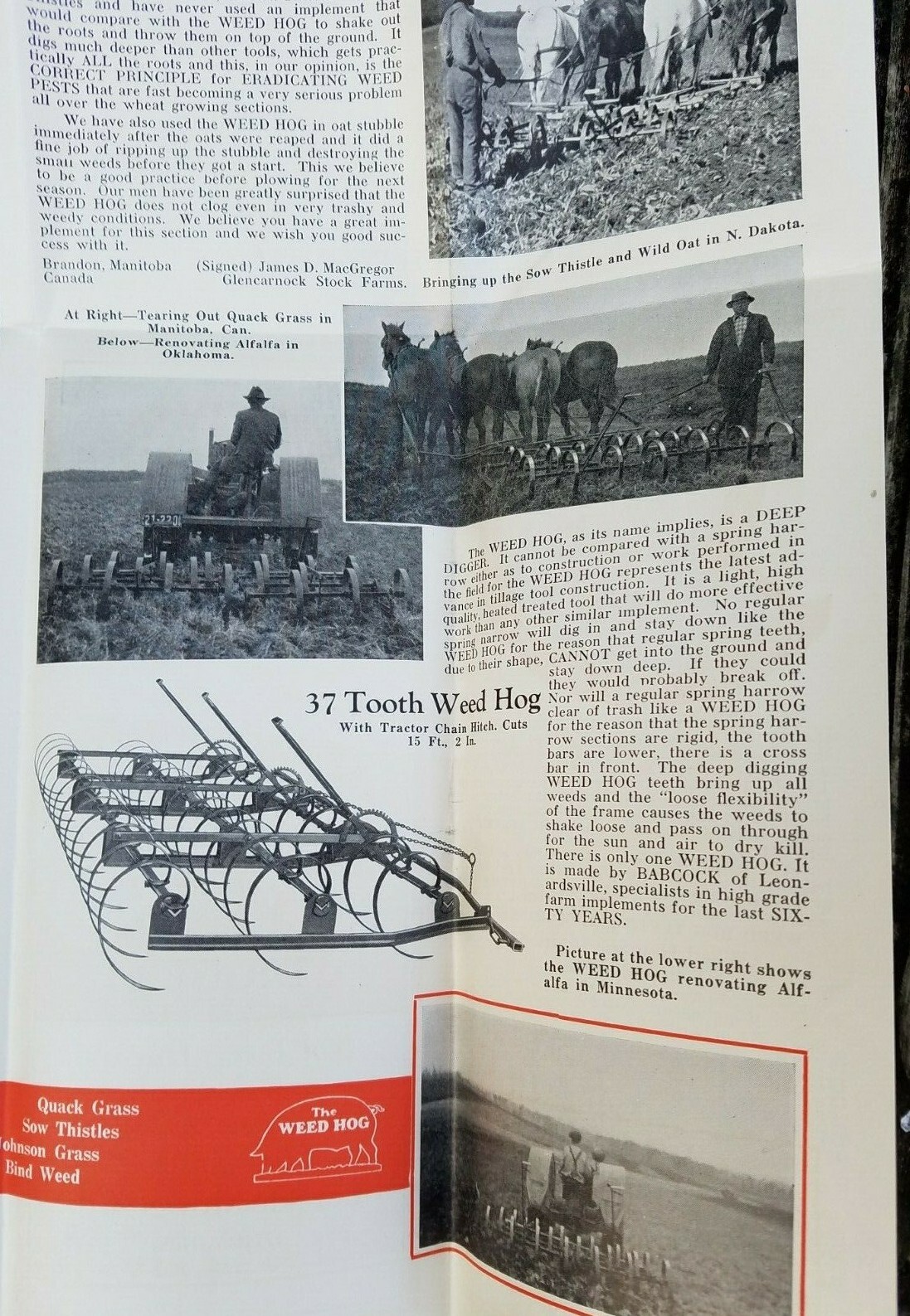 Old Farm Equipment Brochure Weed Hog Plow Harrow Babcock Mfg Leonardsville NY