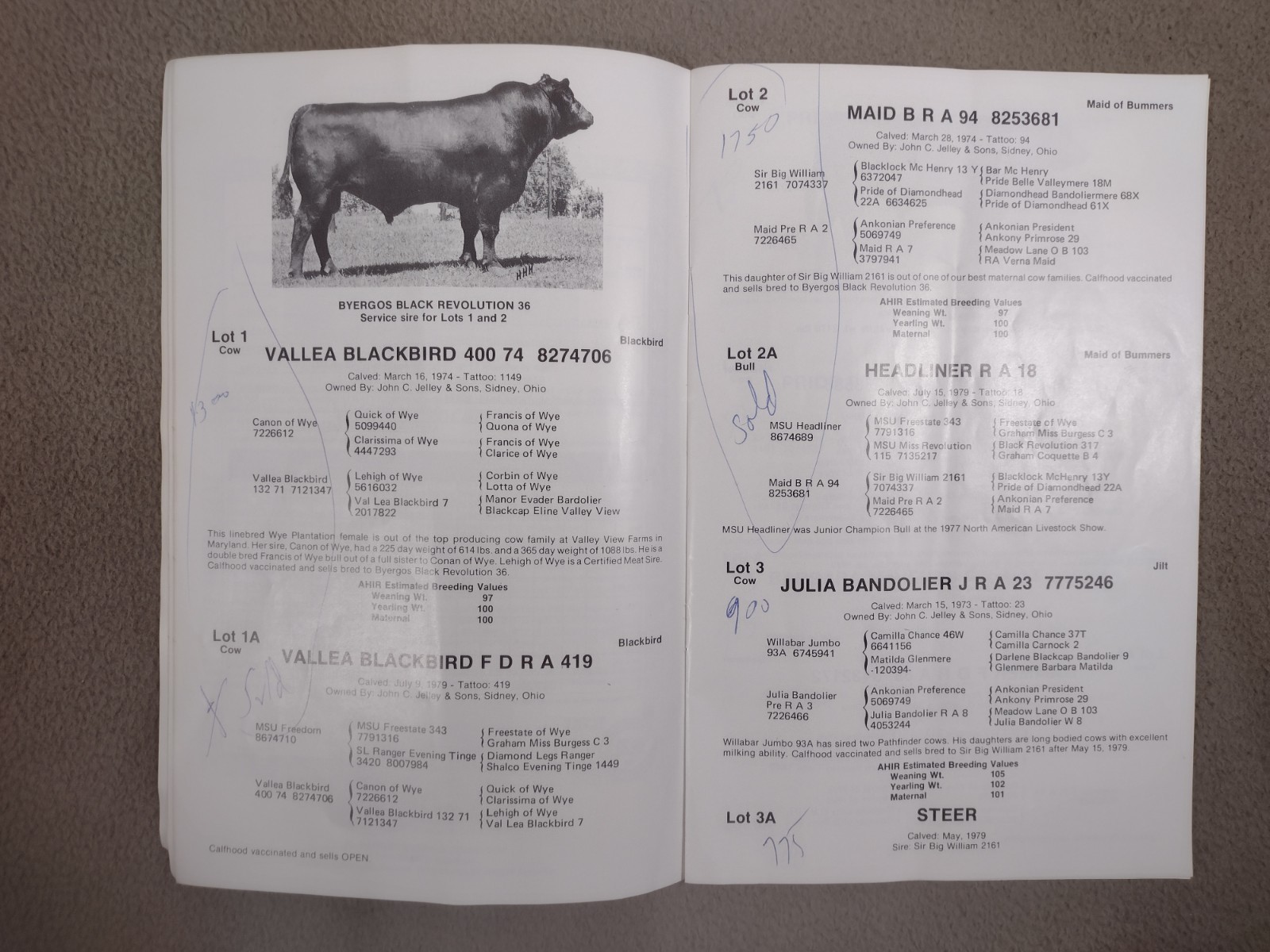 Cattle Auction Book John Jelley & Sons and Roger Hawkins & Sons Sidney Ohio 1979