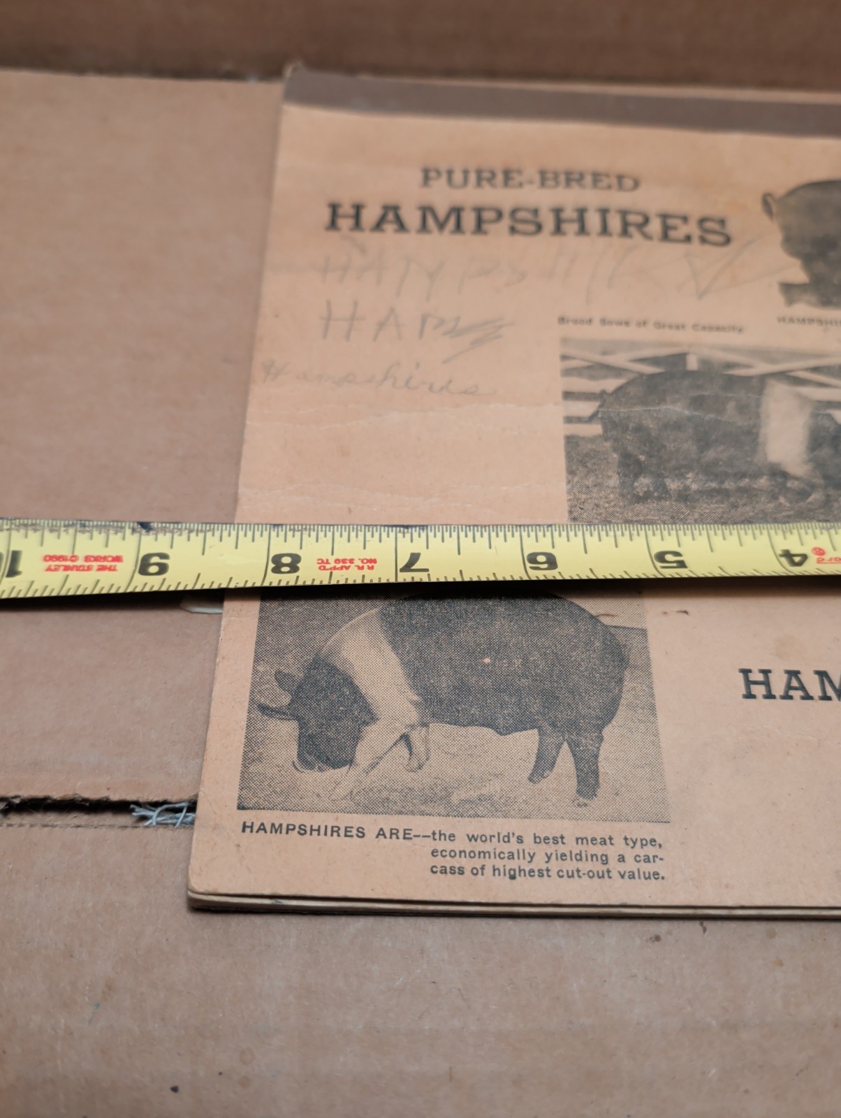 Vintage 1947 1948 Hampshire Swine Registry With Filled In Registars