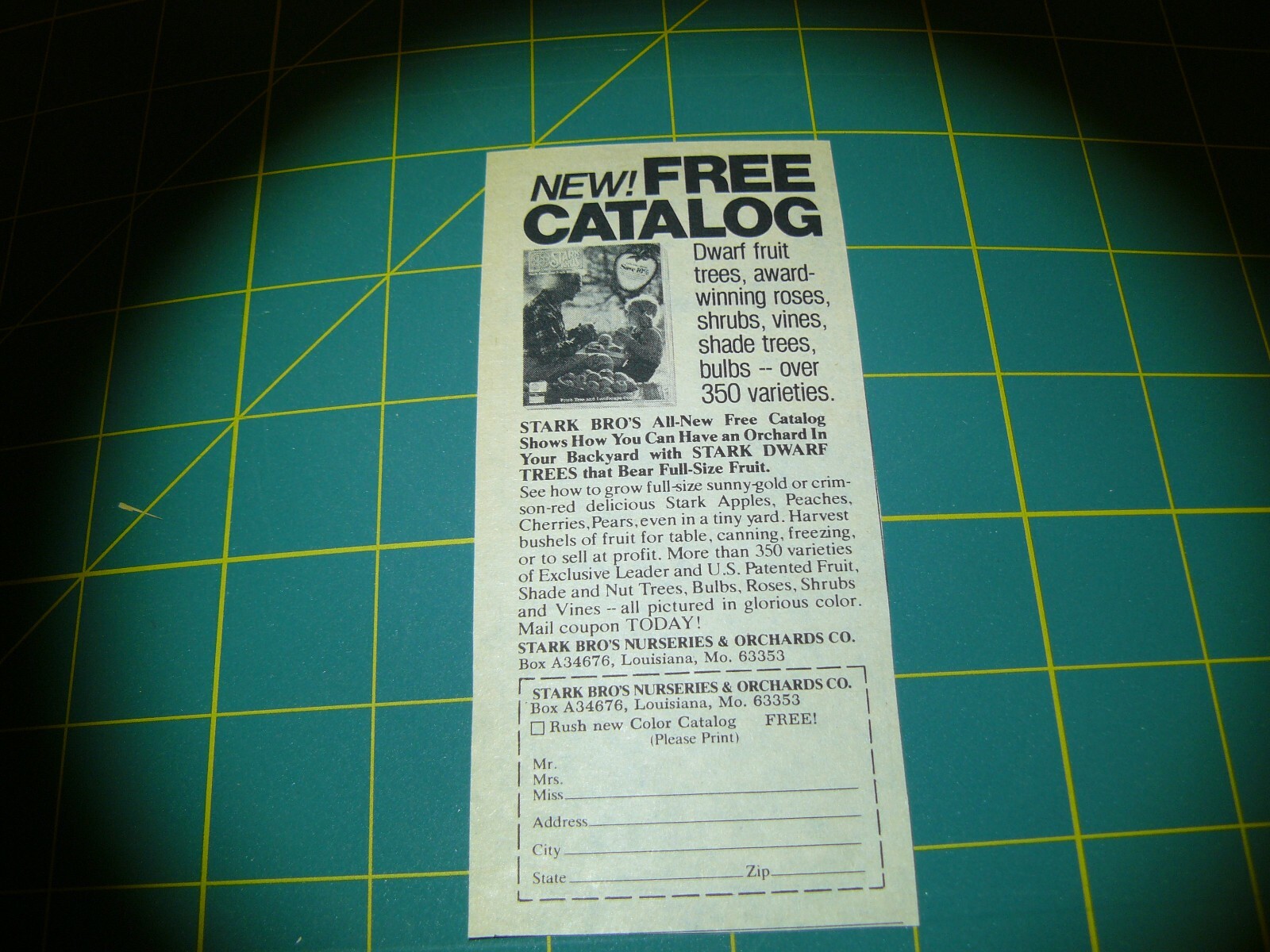 PROGRESSIVE FARMER -AD-JULY 1976 FREE CATALOG STARK BRO&rsquo;S NURSERY/ LOUISIANA, MO