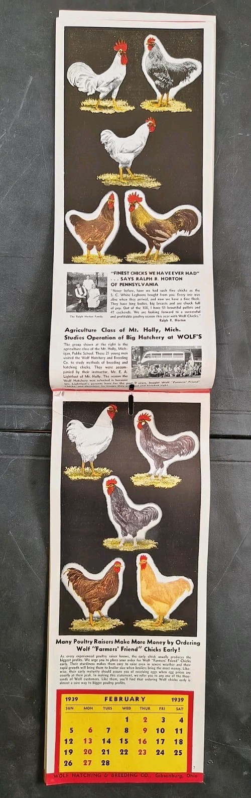 1939 Wolf Baby Chicks Catalog Calendar Sale Brochure Chicken Farming Advertising