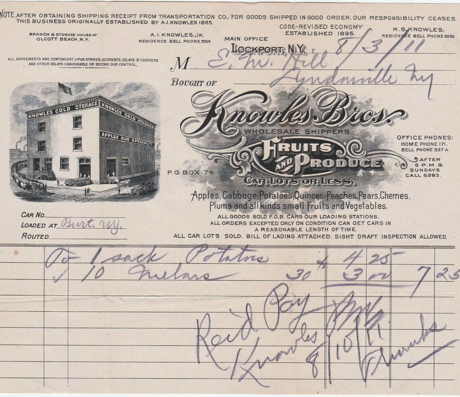 RARE Advertising Cover & Graphic Billhead Knowles Fruit Produce Lockport NY 1911