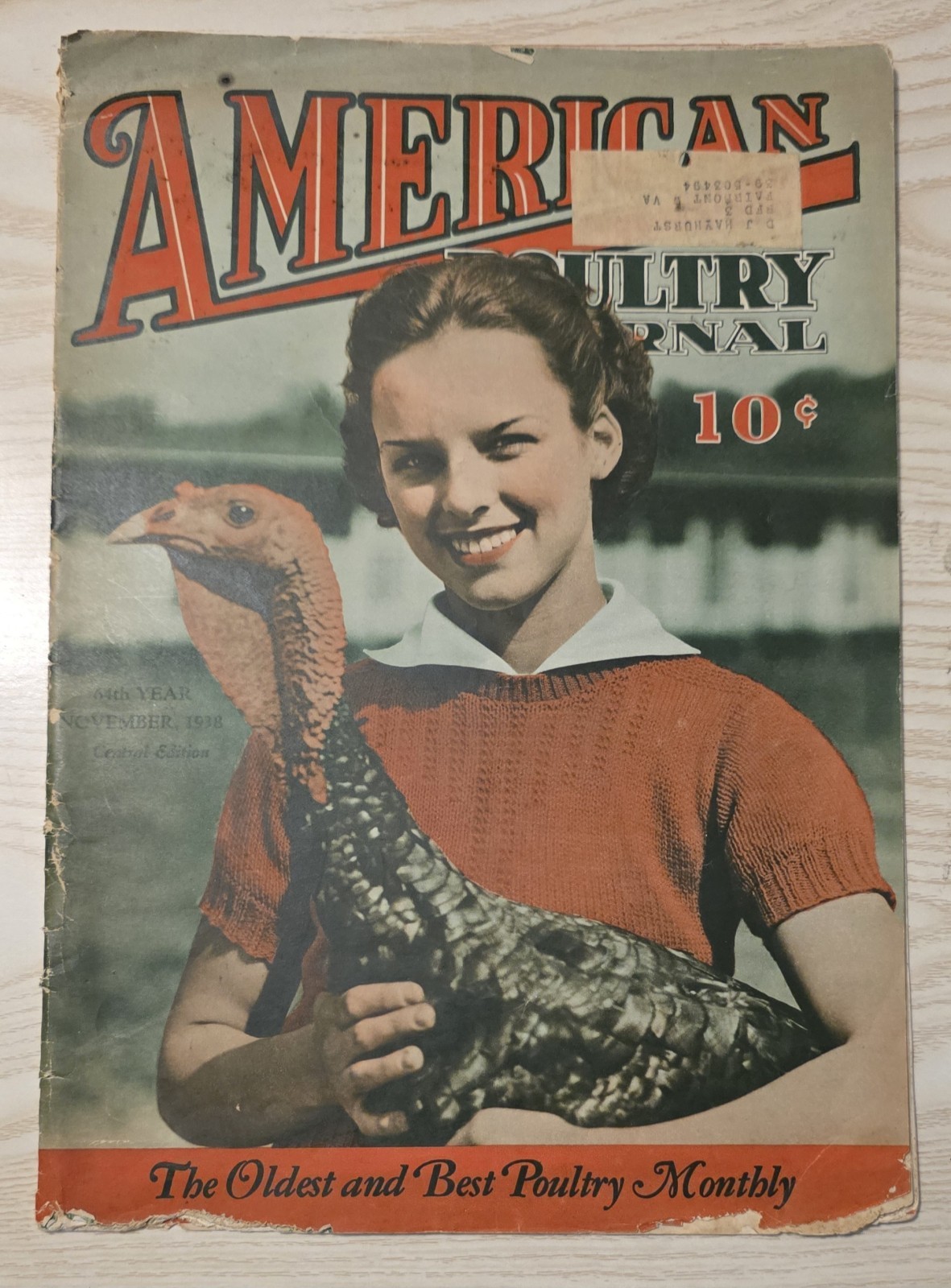 RARE 1938 American Poultry Journal Magazine Nov Vintage Farm Agriculture Turkey