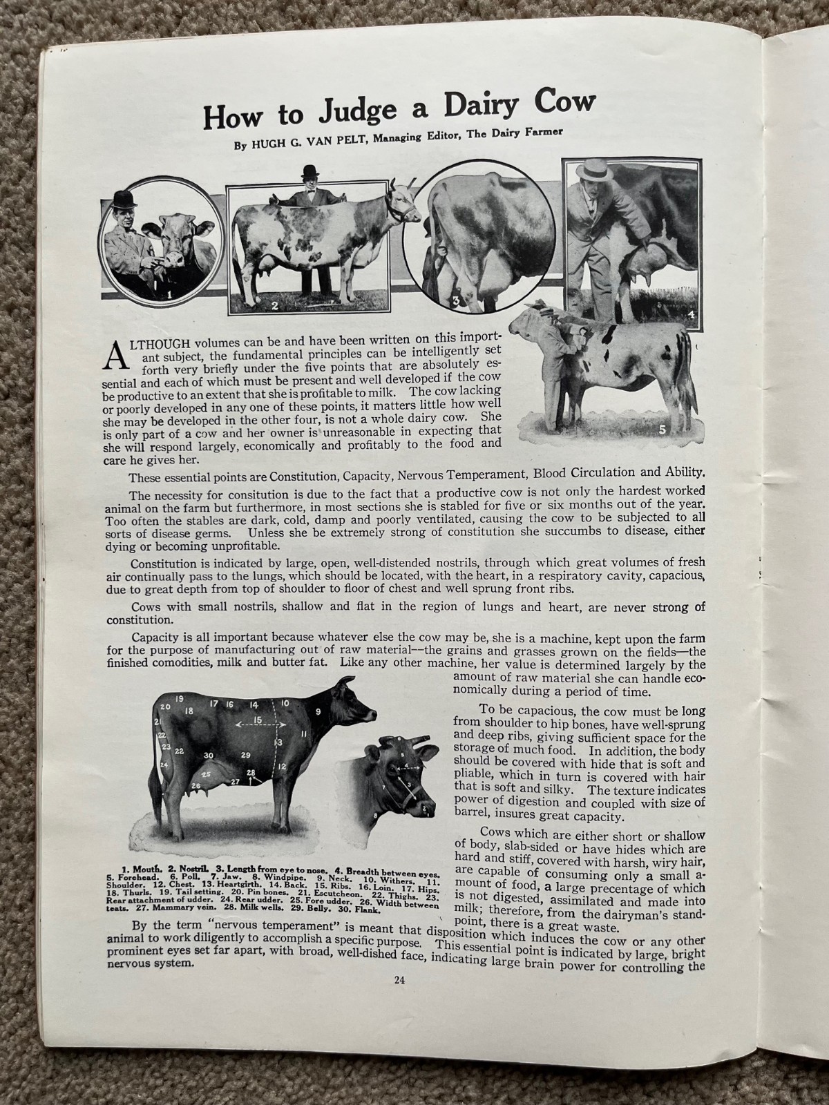 2 DELAVAL CREAM SEPARATOR INSTRUCTION MANUALS