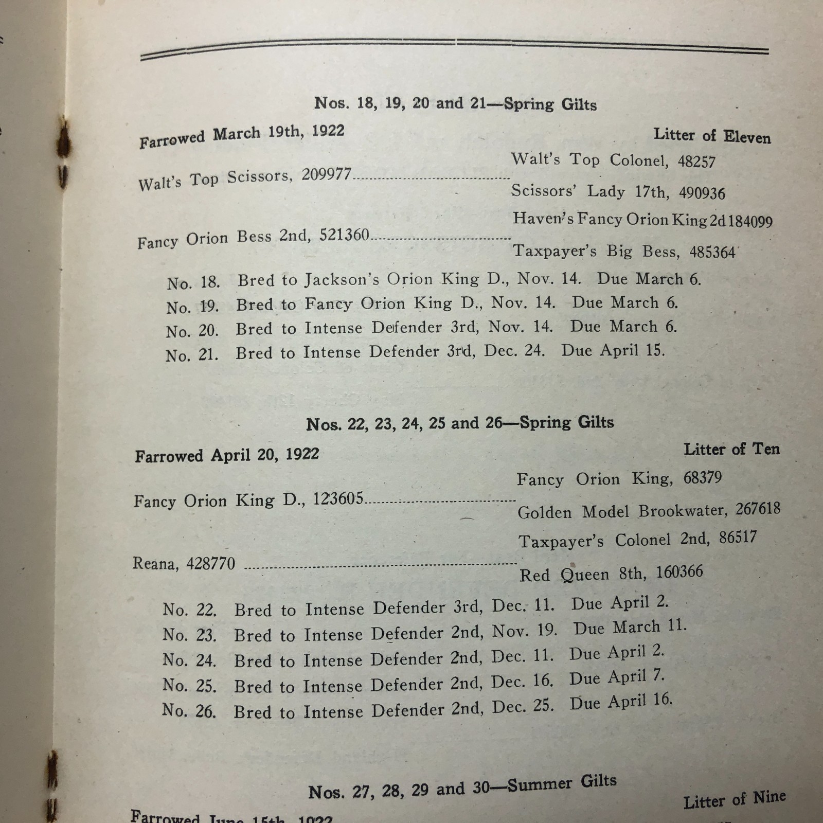 Vintage 1923 45-Duroc-45 Bred Sows Sale Booklet