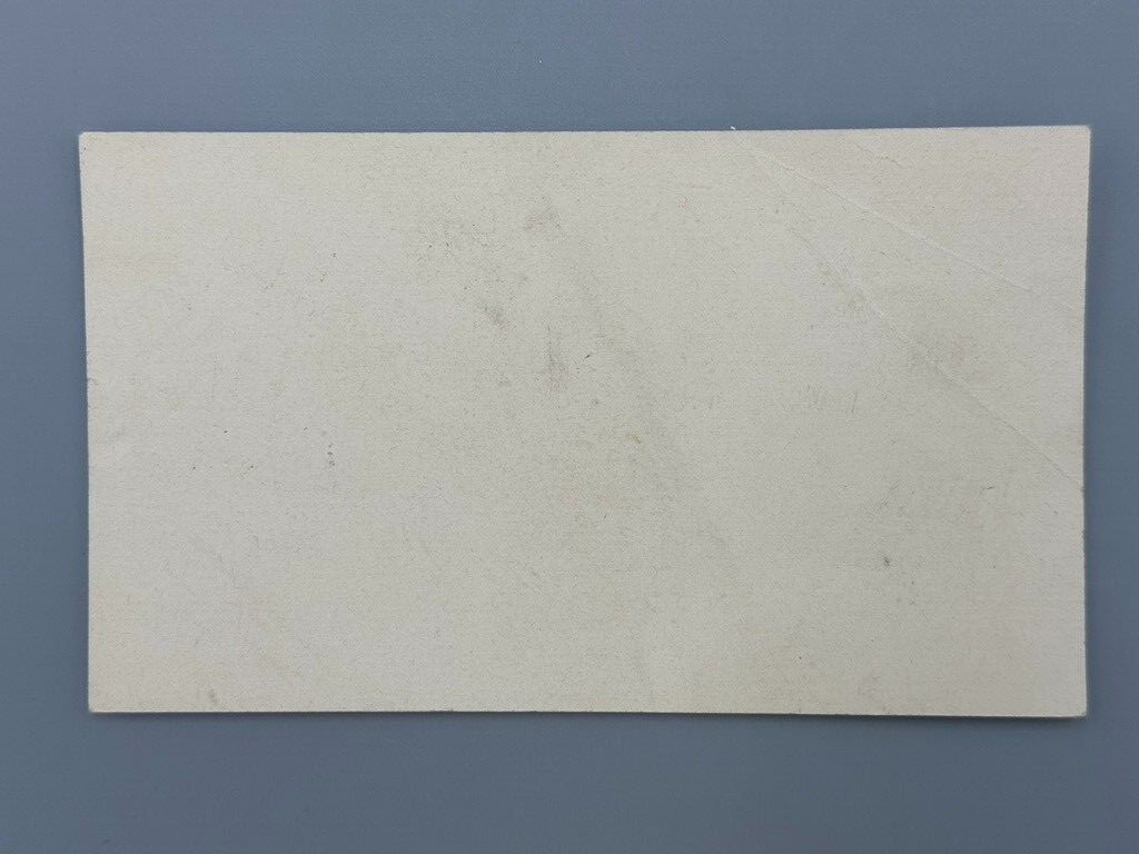 1880s DS Morgan TRIUMPH MOWER Brockport FARM Advertising TRADE CARD