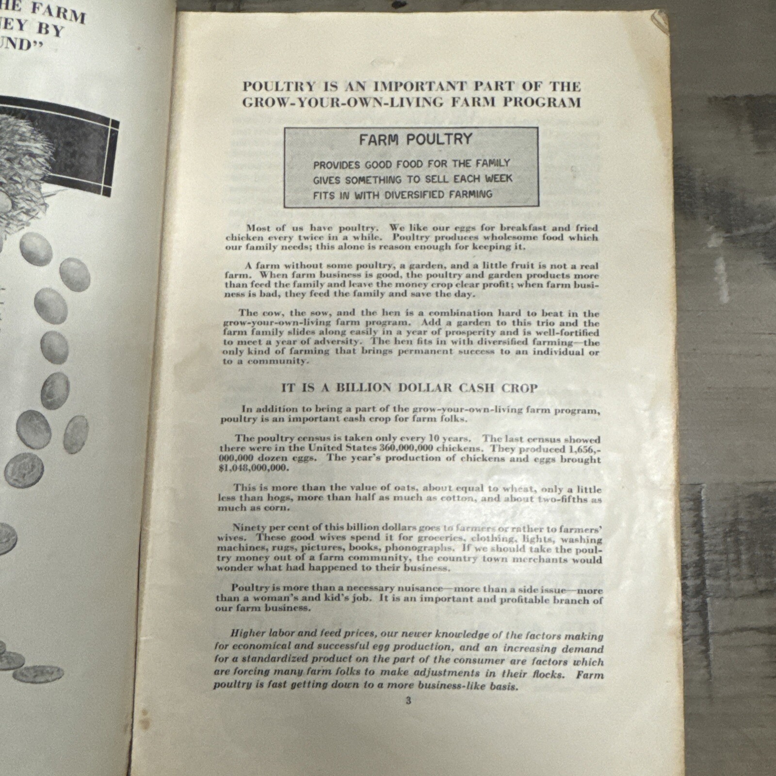1926 Farm Poultry Pays International Harvester Company Booklet