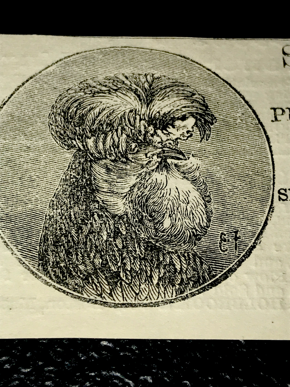 1870 Poultry Chicken Rooster Cock Hen Farm Engraving Advertising