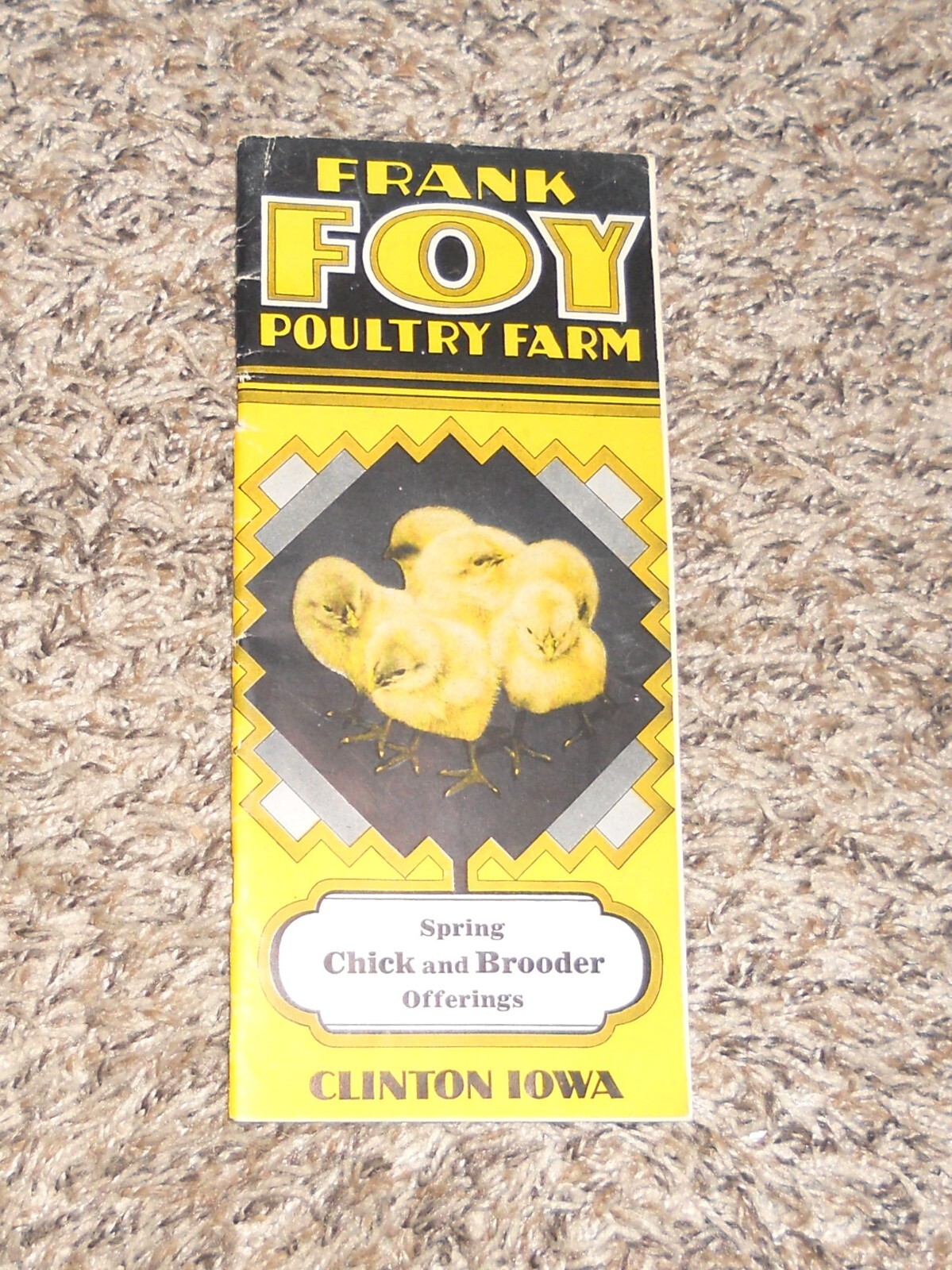 Vintage Frank Foy Poultry Farm Clinton IA Iowa Farm Brochure (C15)
