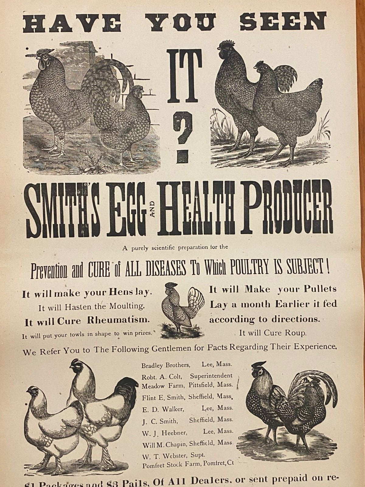 Antique 1900&rsquo;s Dr.Smith&rsquo;s Egg & Chicken Broadside Poster Sign, Lee, MASS Kitchen