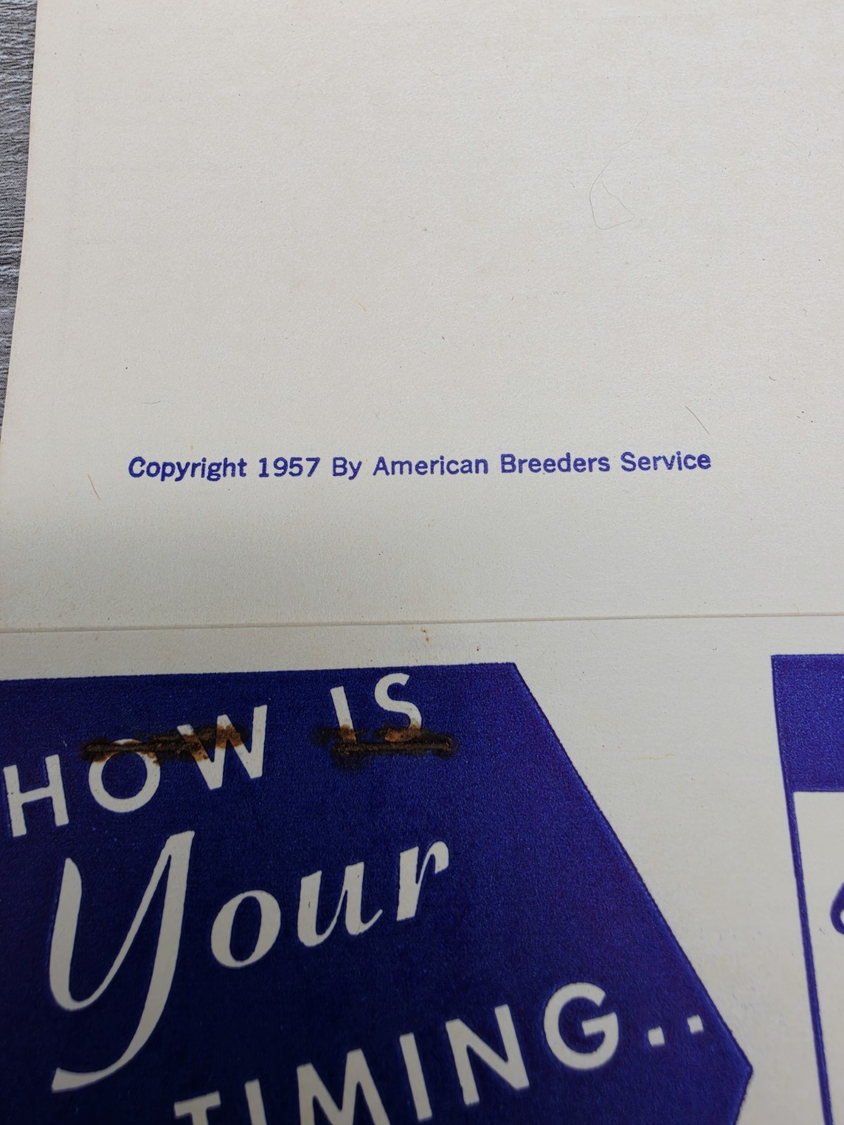 Rare 1957 American Breeders Service Folder Cow Breeding Schedule NOS Advert
