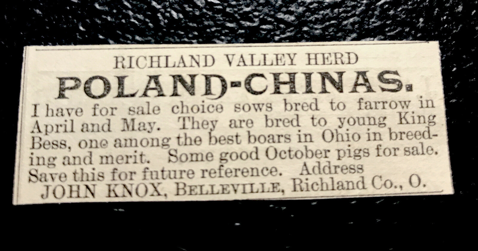 1886 John Knox Hog Pig Farm Advertising – Belleville – Ohio