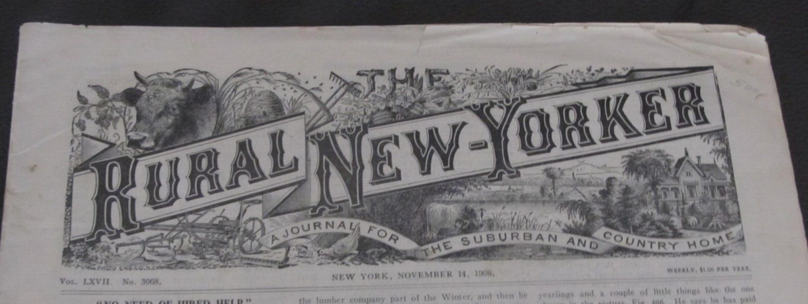 1908 Nov 14 THE RURAL NEW-YORKER NEWSPAPER Agriculture Magazine Farm Farming