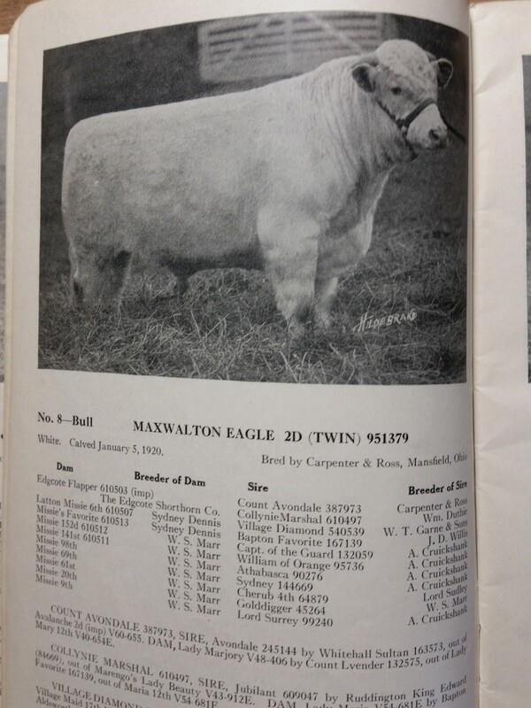1921 Shorthorn Cattle Auction Catalog Stock Yards Chicago Carpenter & Ross OH