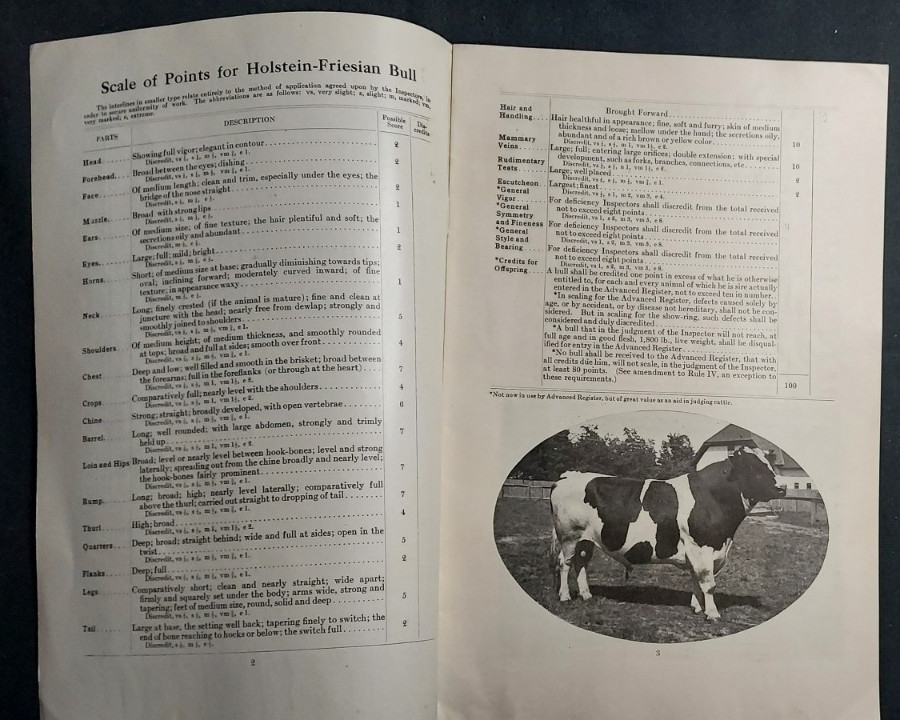 1913 Booklet Holstein Friesian Cattle Association Brattleboro VT Scale Of Points