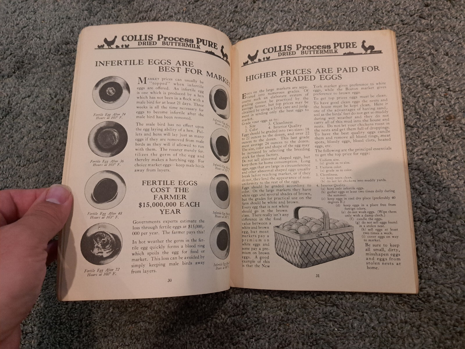 Feed from the Egg to the Market Collis Products Company Poultry Chickens