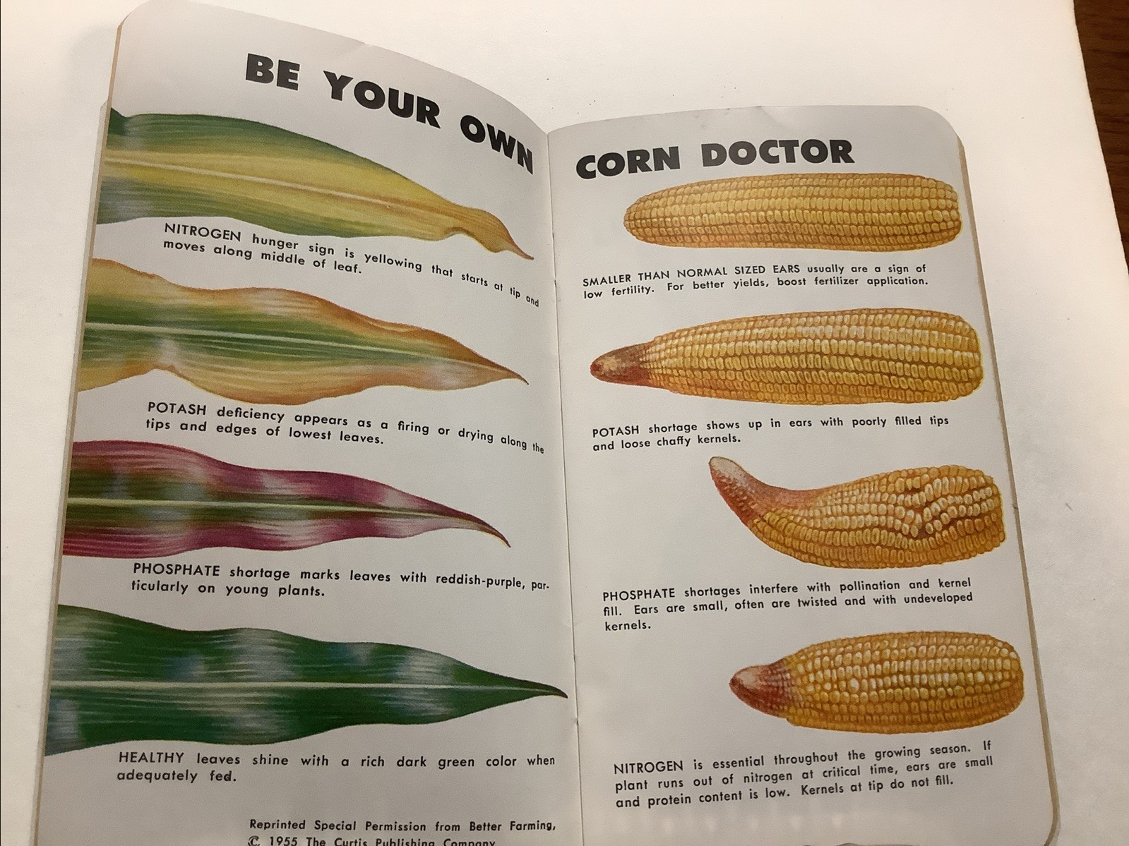 Vtg Booklet Pfister Hybrid Corn Co 1960 El Paso Cissna Park IL-FREE SHIPPING