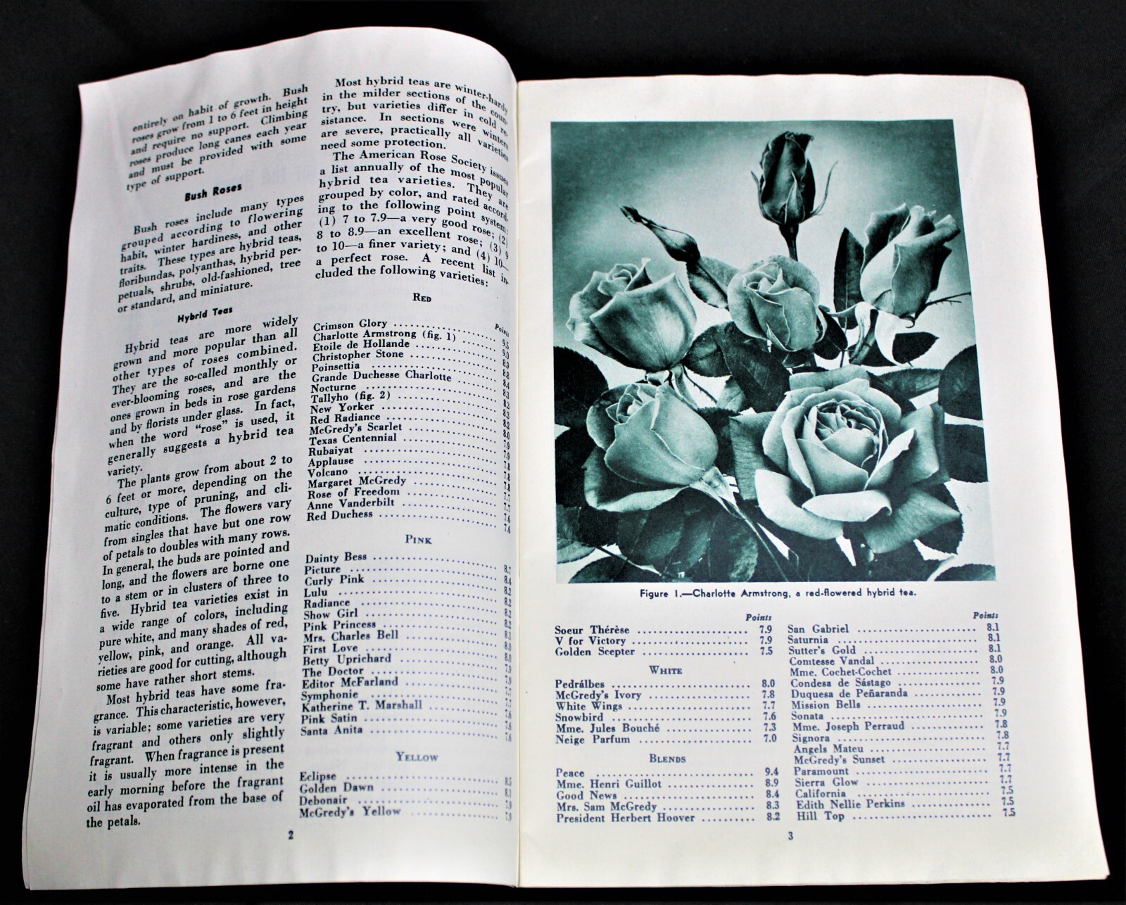 U.S. DEPARTMENT OF AGRICULTURE ROSES FOR THE HOME BROCHURE GUIDE 1953 VINTAGE