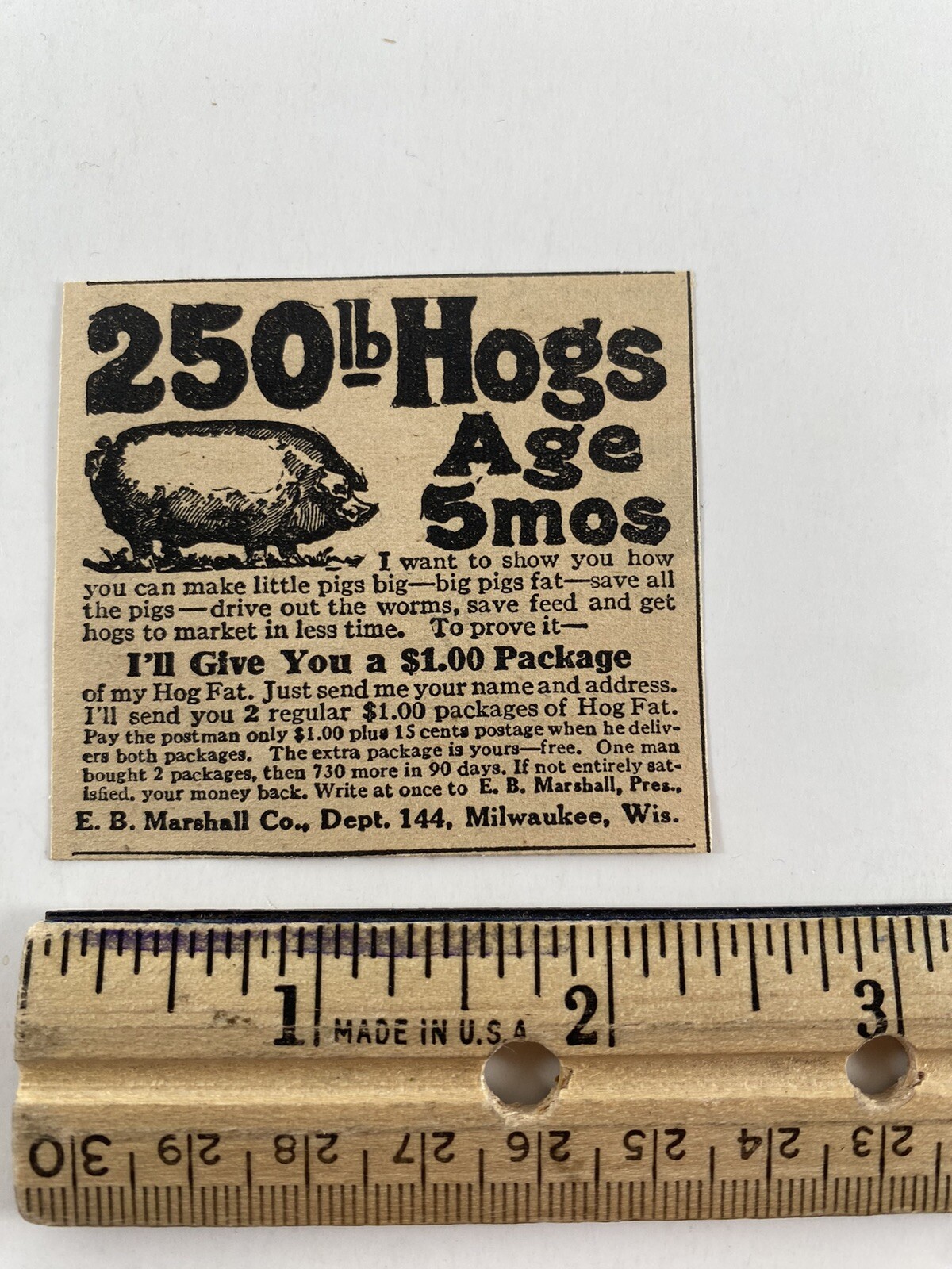 250 lb Hogs Antique 1927 Magazine Print Ad Old E.B. Marshall Pork Farm Milwaukee