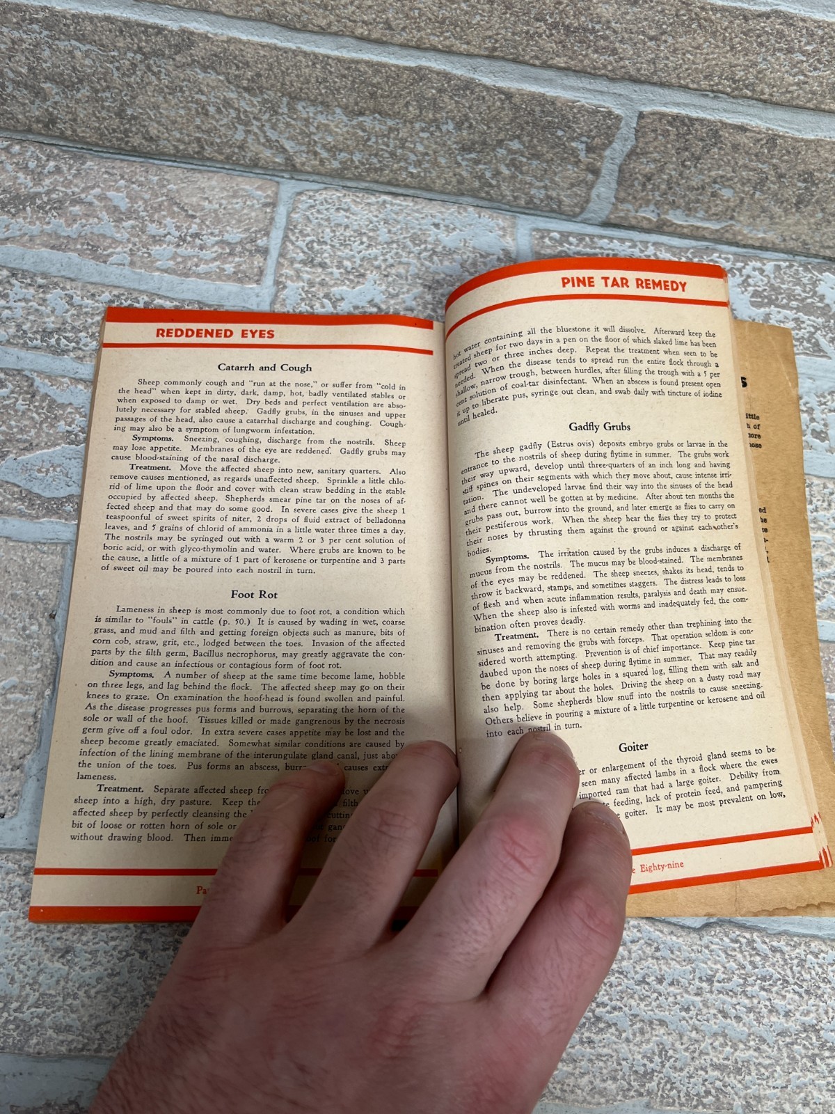 Vintage 1938 First Aid in Treating Common Ailments Animals by Hoard&rsquo;s Dairyman