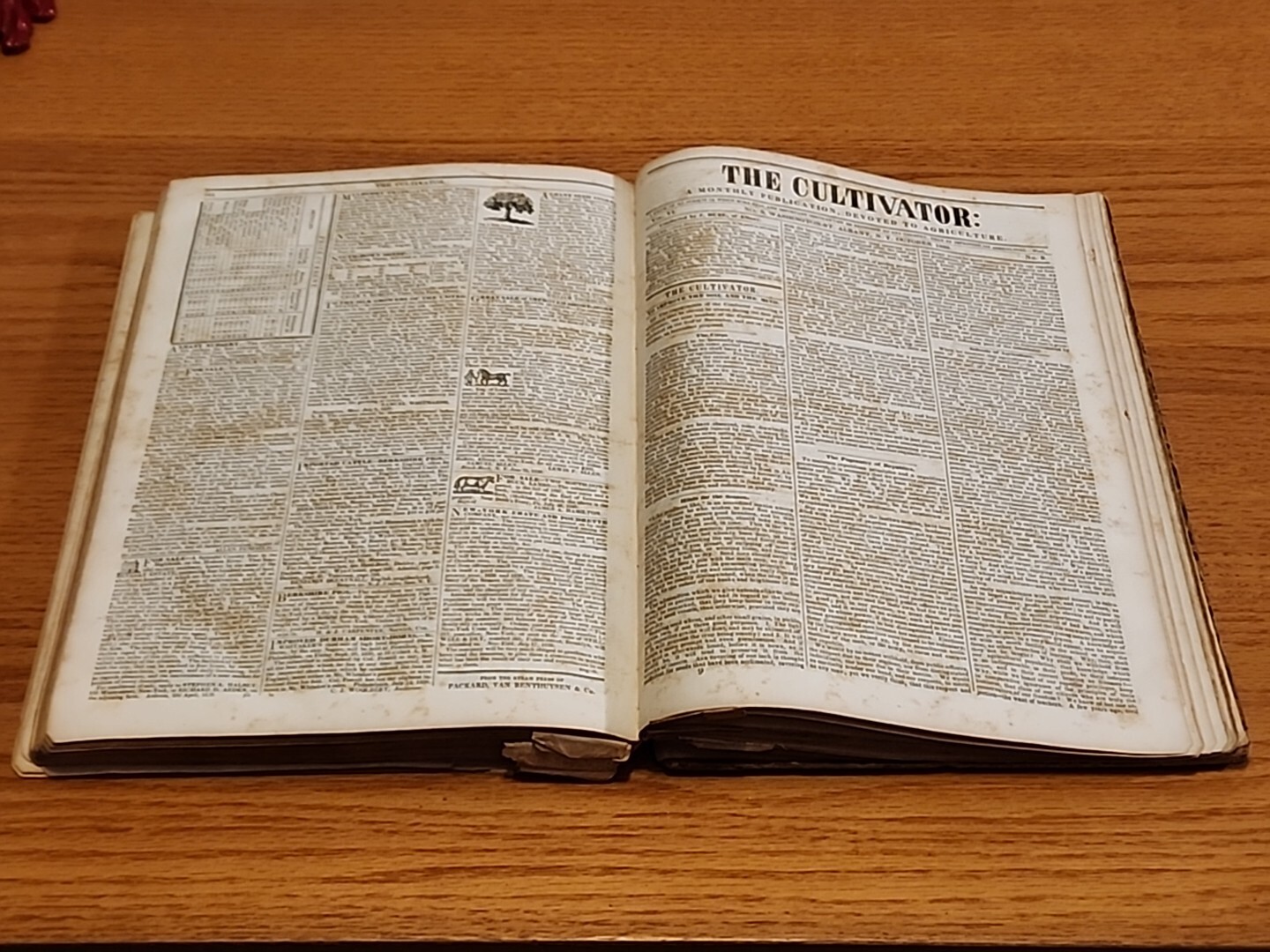 The Cultivator Monthly Journal Hardbound Book 1838