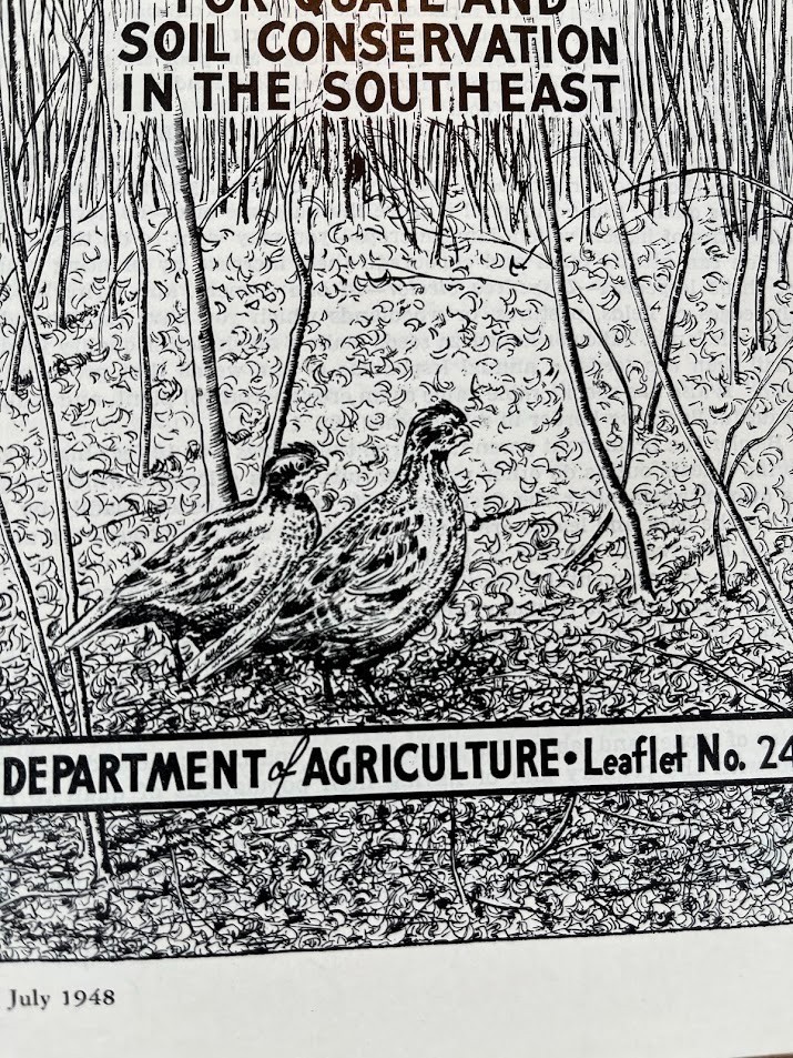 1948 US DEPARTMENT OF AGRICULTURE Bicolor Lespedeza QUAIL MANAGEMENT HUNTING