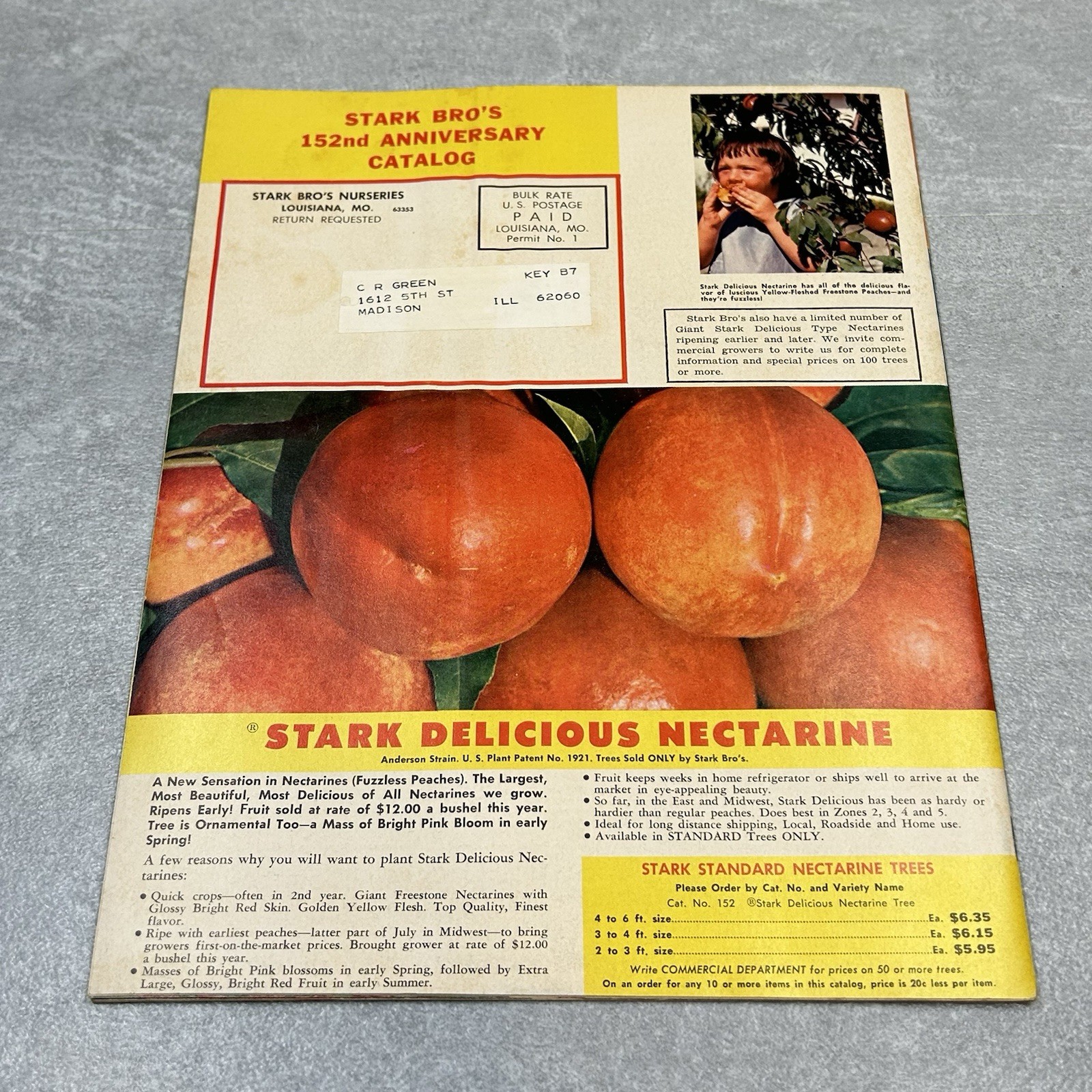 Vintage 1960s Stark Bros Nurseries & Orchards Dwarf Fruit Trees Catalog