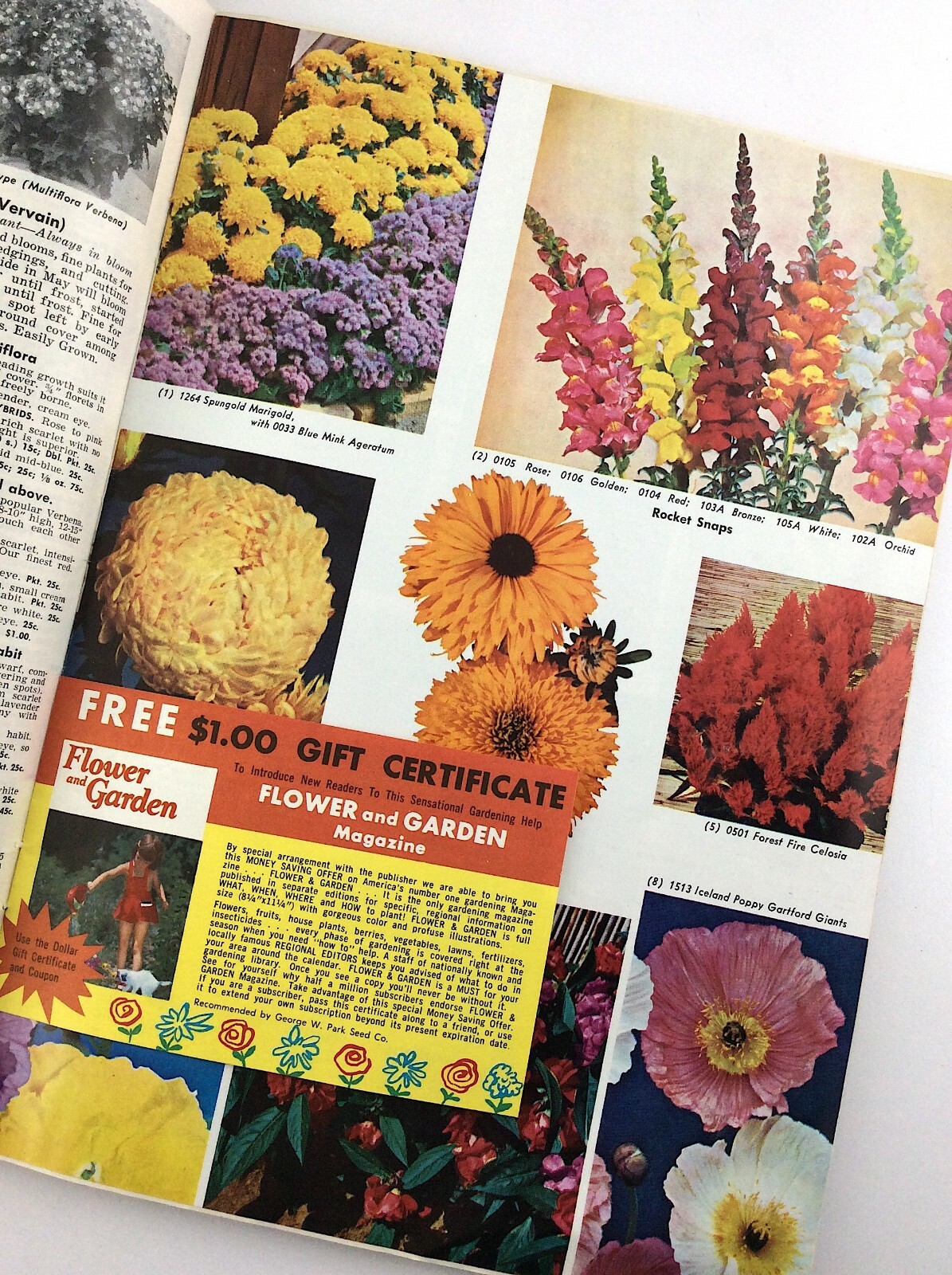 Parks Flower Book 1962 Greenwood South Carolina Garden Seed Catalog Q364