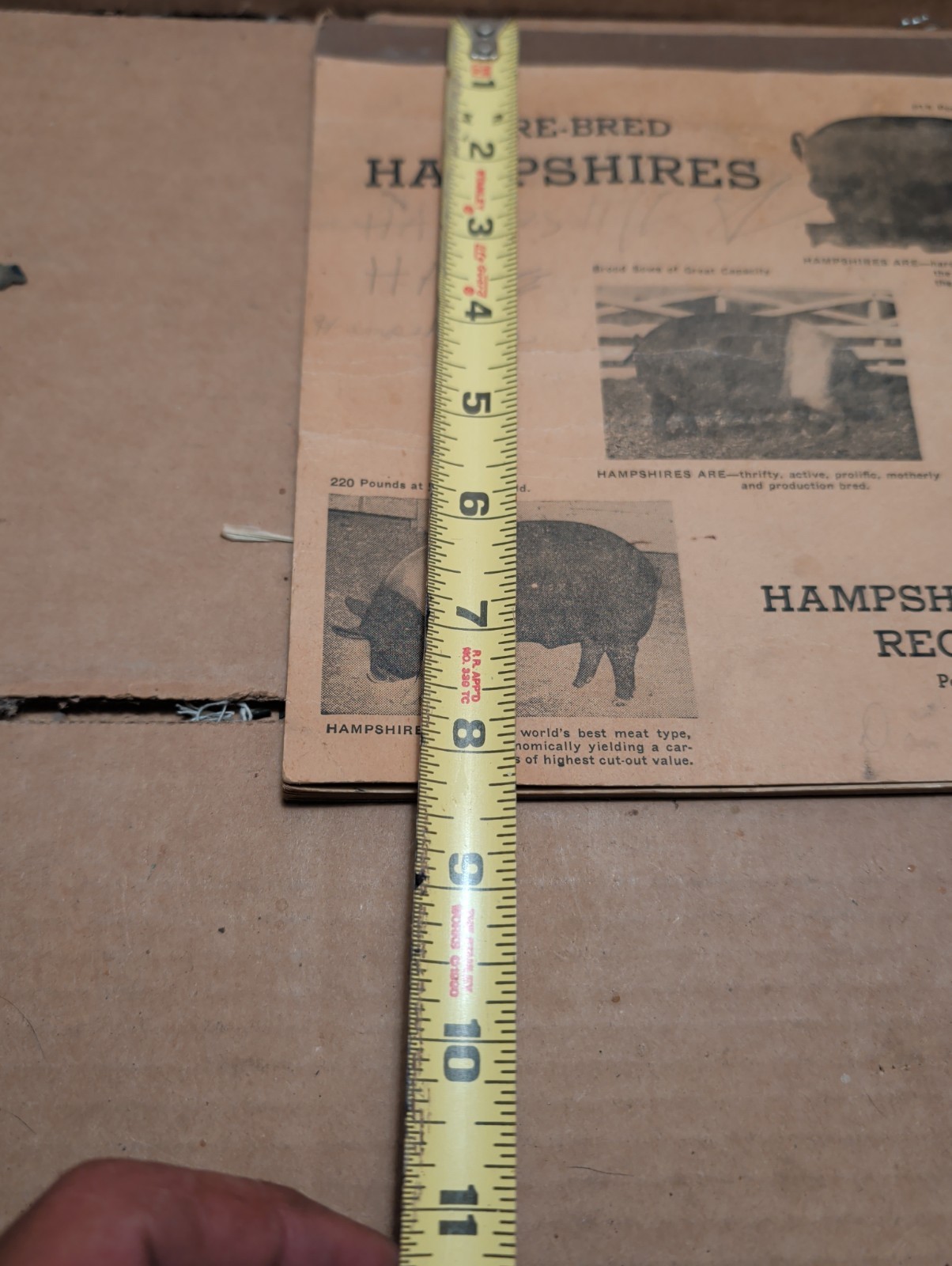 Vintage 1947 1948 Hampshire Swine Registry With Filled In Registars