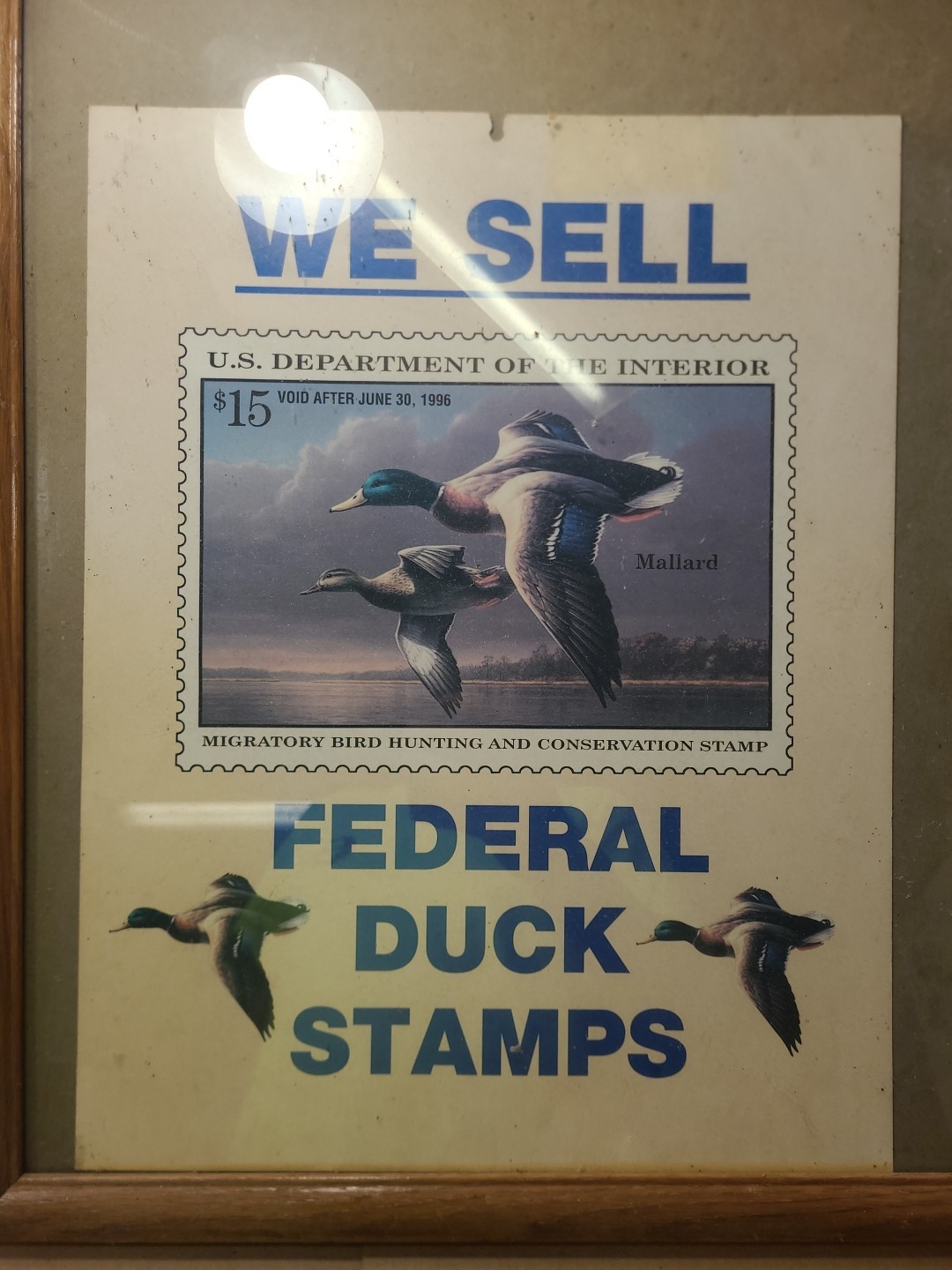 1996 Federal Duck Stamps Cardboard Store Sign Advertising