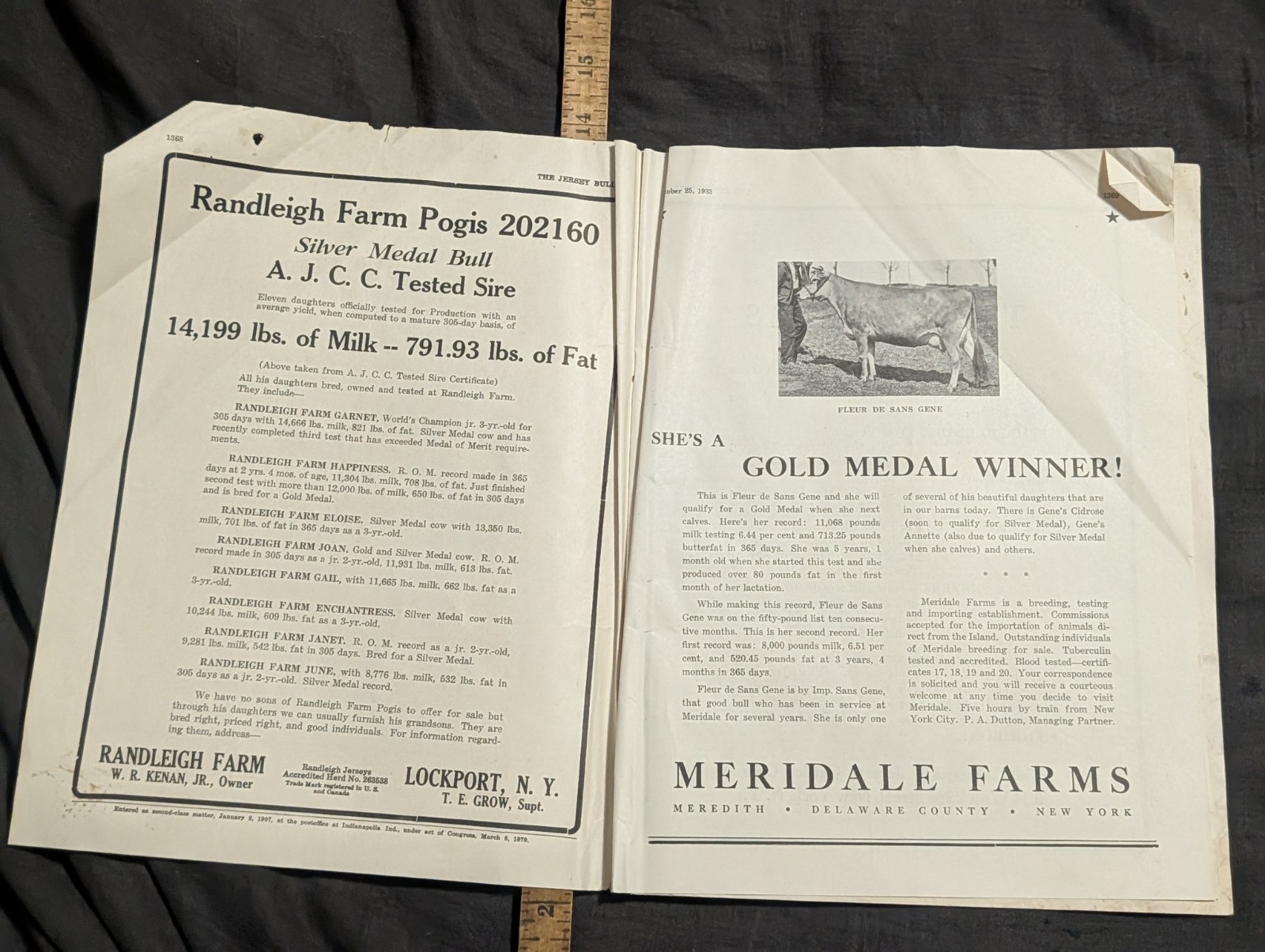 1933 The Jersey Bulletin, Agriculture dairy cattle farmer magazine