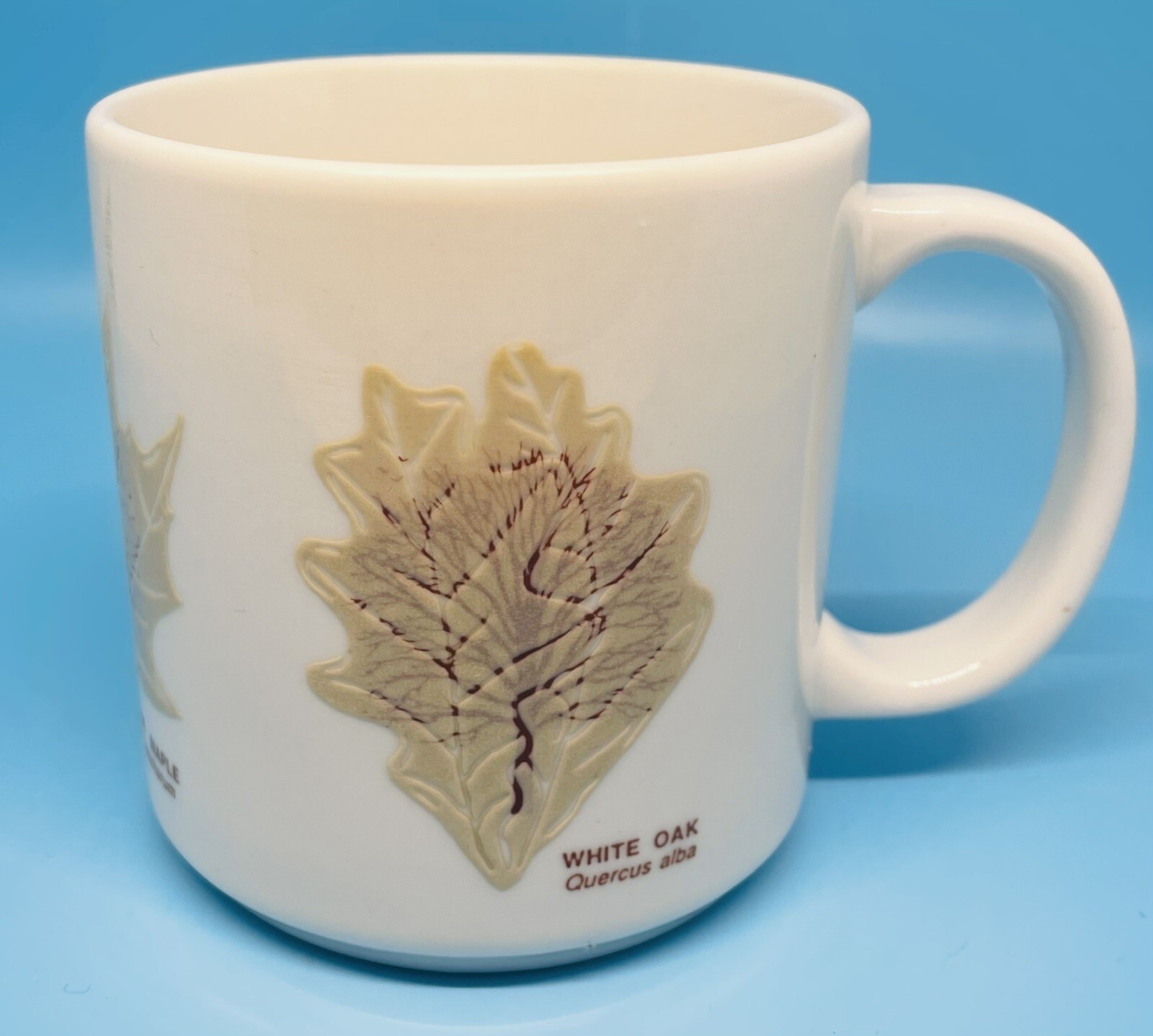Audubon Naturalist Society Mug Raised Leaves Leaf Identification