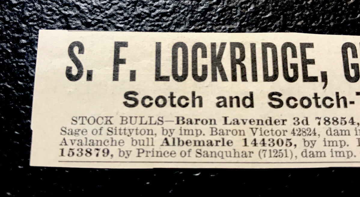 1902 Lockridge Farm Cattle Cow Advertising – Greencastle – Indiana