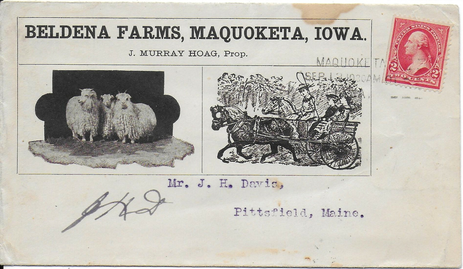 1901 Letter from Beldena Farms, Maquoketa, Iowa – Angora Sheep & Shetland Ponies