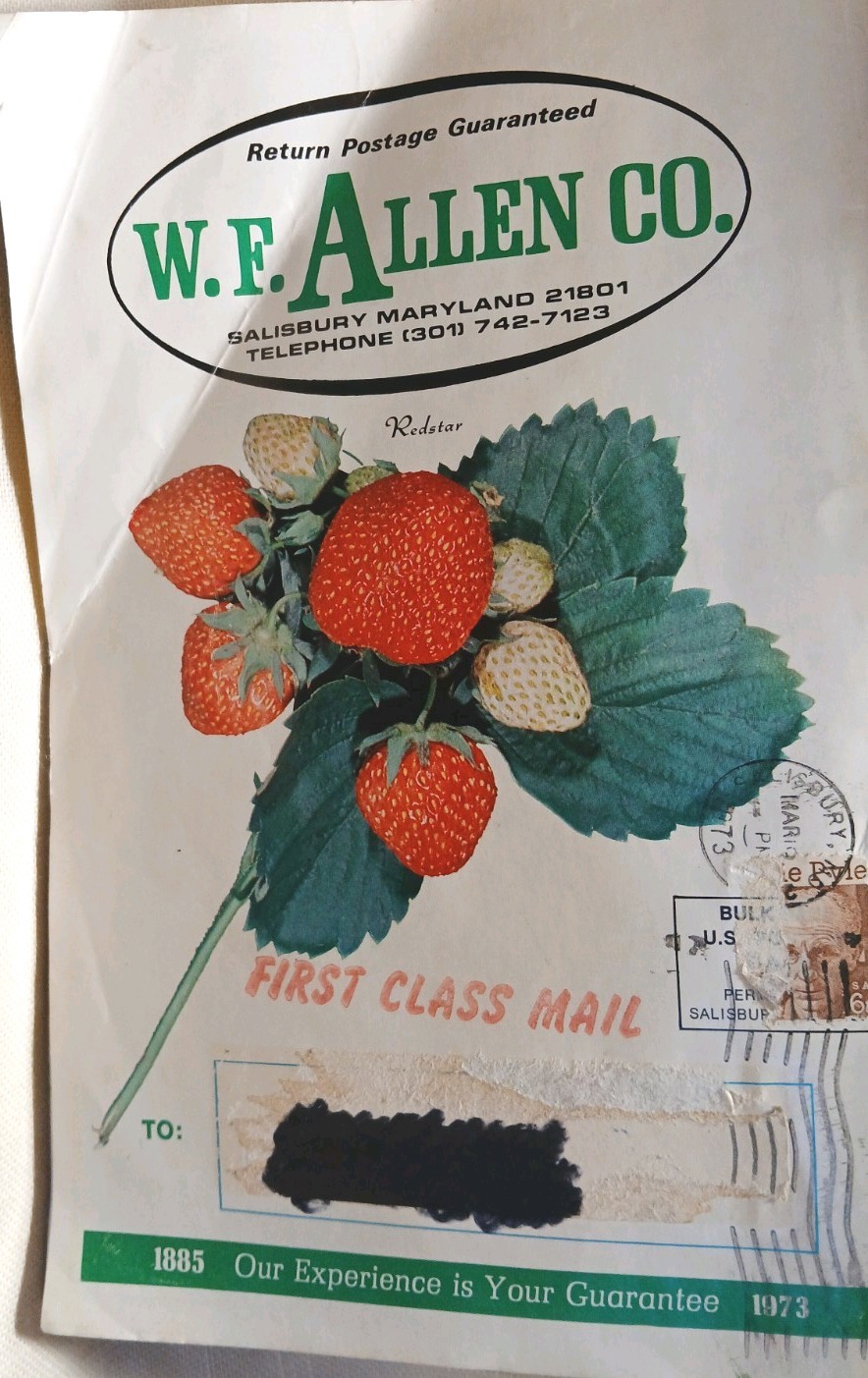Rare Catalog Ephemera 1973 W.F. Allen Co. Book Of Berries. Anniversary Edition.