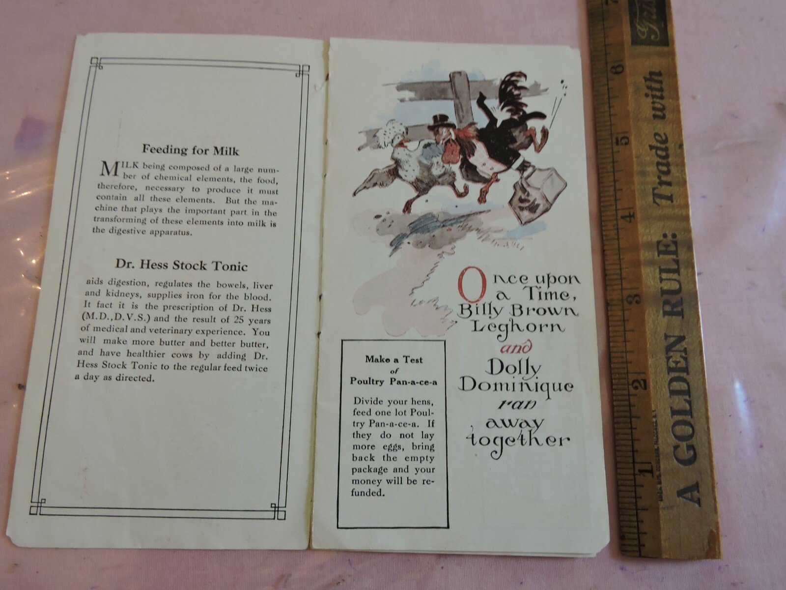Rare c.1923 12pg Promo Booklet Dr. Hess Poultry Chicken Ashland Ohio Agriculture