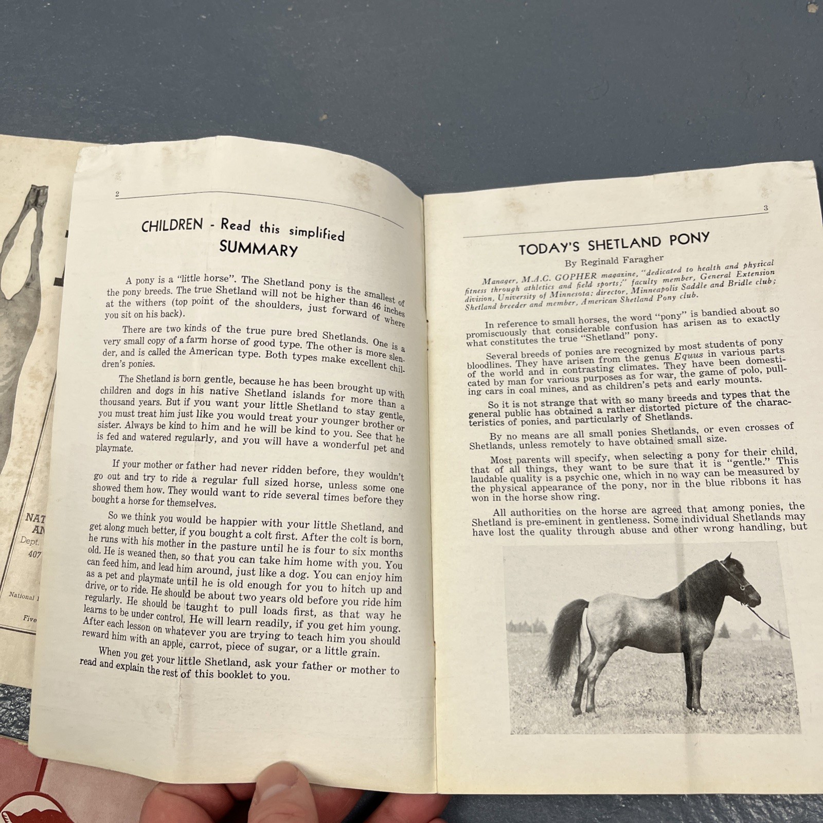 Lot Of Vintage 1930s & 1940s Farming Ephemera Livestock Cattle Club VTG Animal