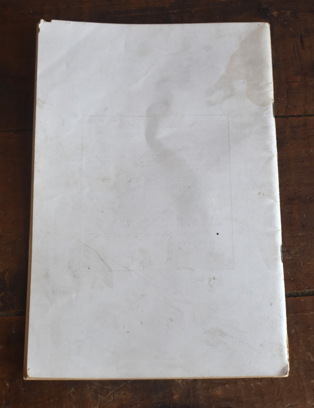 Vintage 1928 Shorthorn Cattle Auction Catalog Thompson Estate Fithian IL