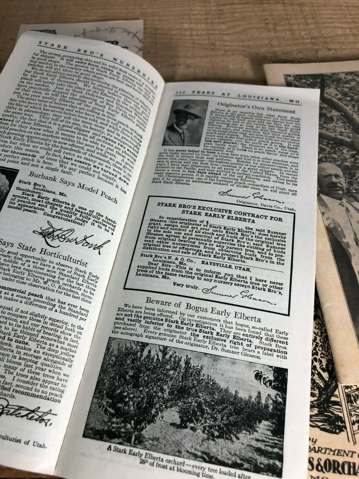 4 Vintage 1930s Stark Bro&rsquo;s Nurseries Orchard Fruit Trees Brochures Catalogs