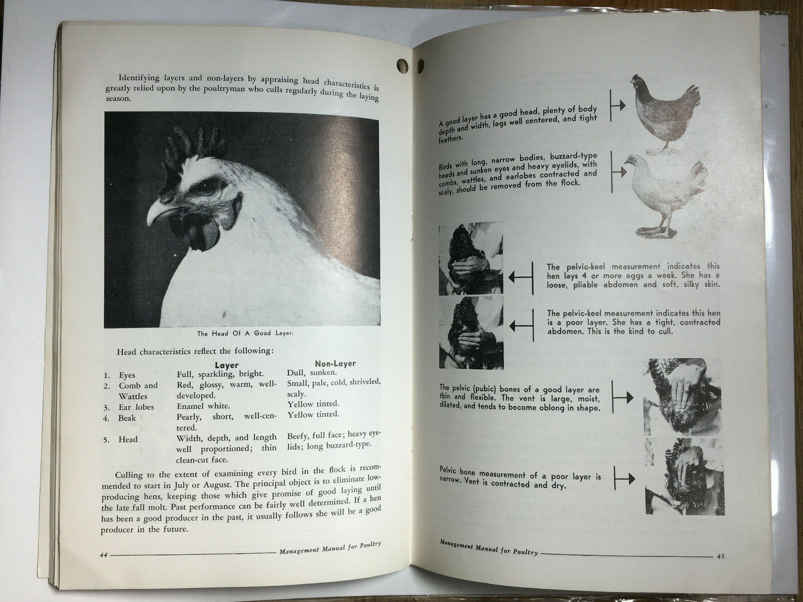 1952 McMillen Feed Mills Management Manual for Poultry Master Mix Feeds PA OH